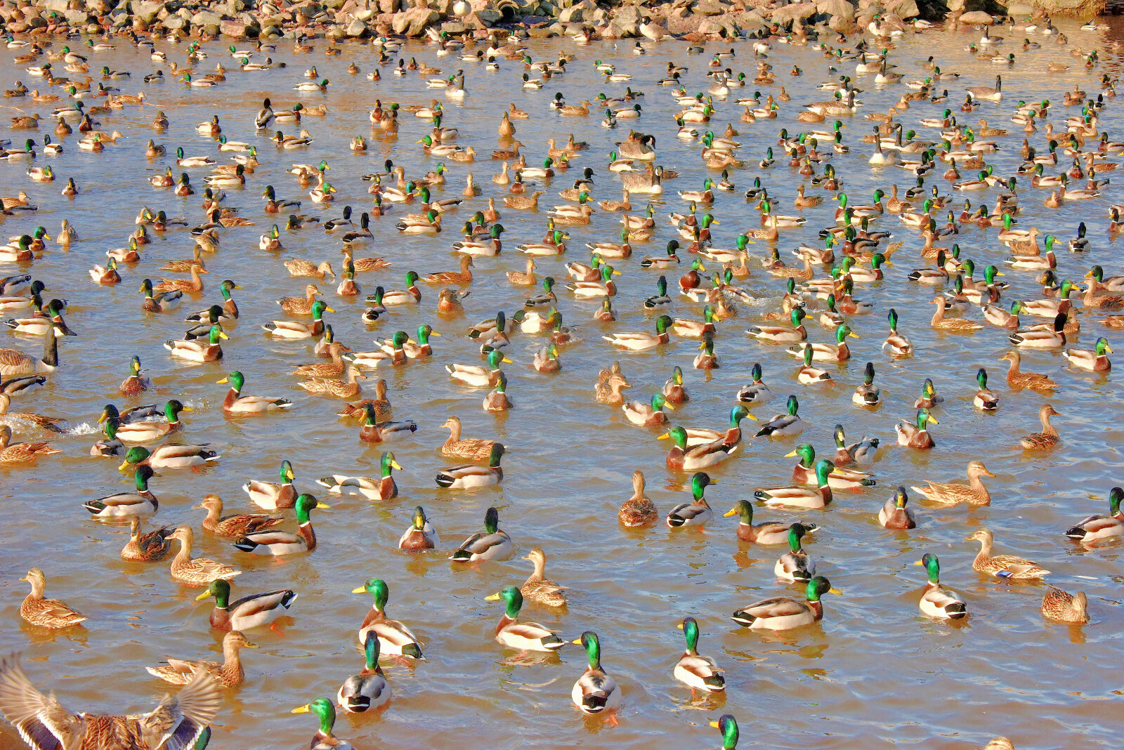 Valokuvaaja: Reijo Juurinen