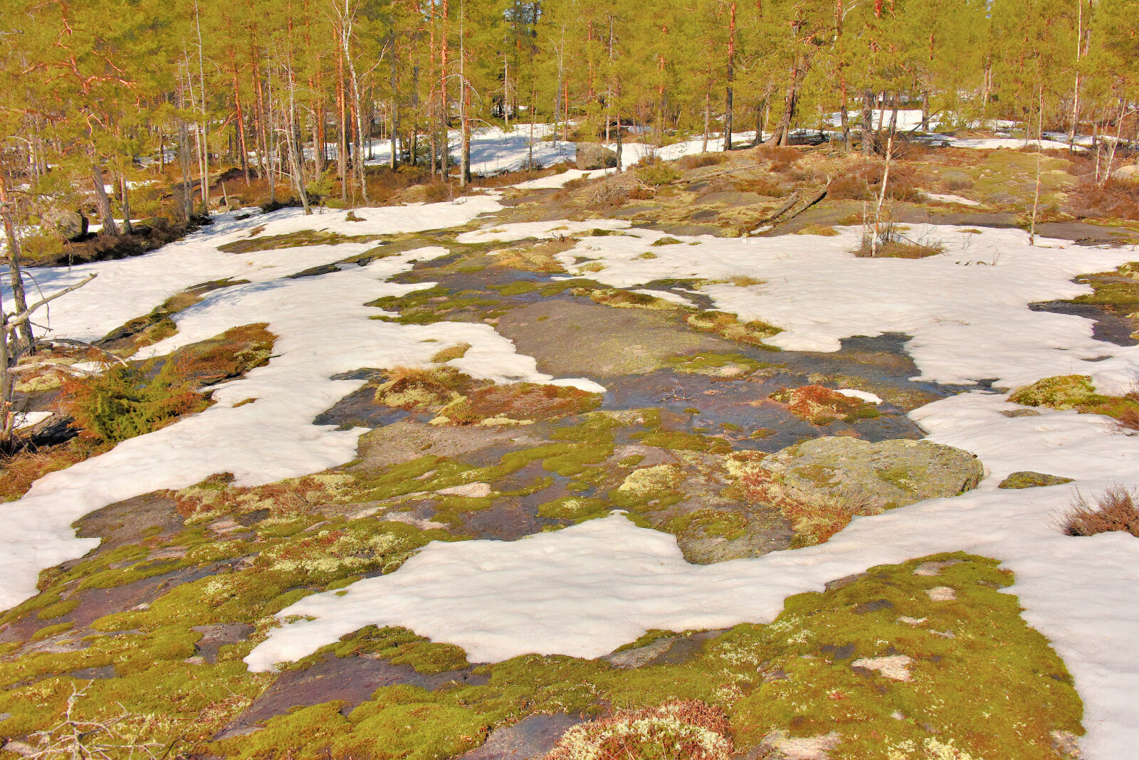 Valokuvaaja: Reijo Juurinen