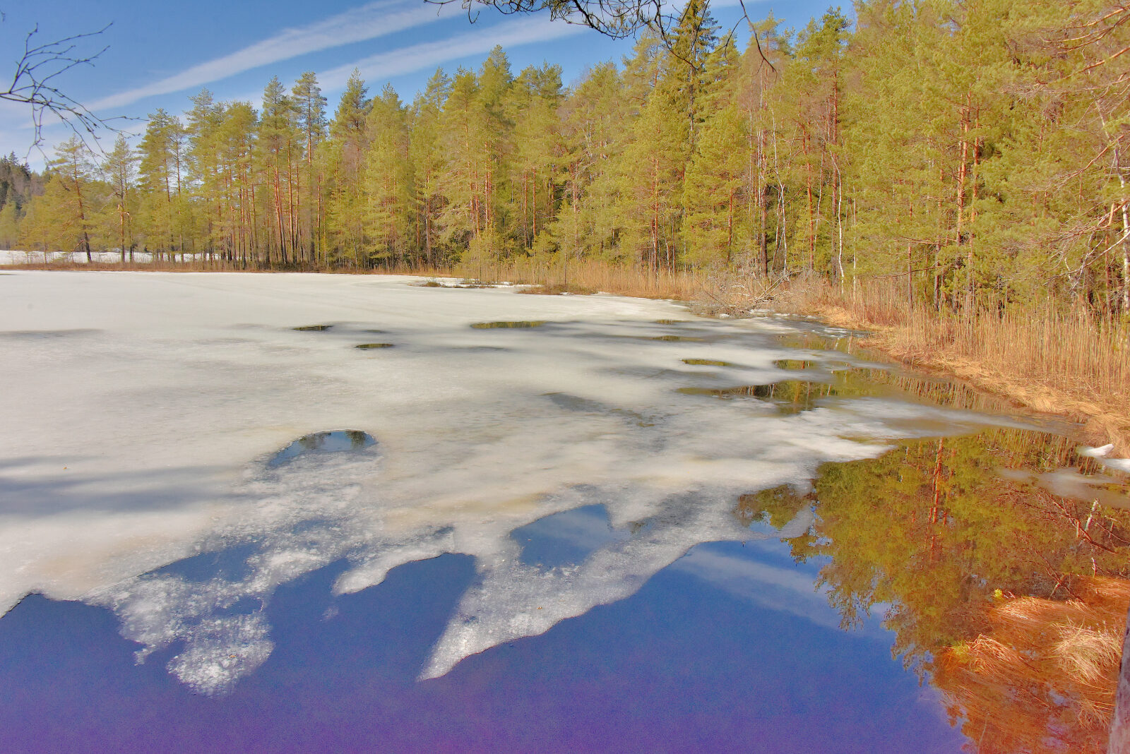 Valokuvaaja: Reijo Juurinen