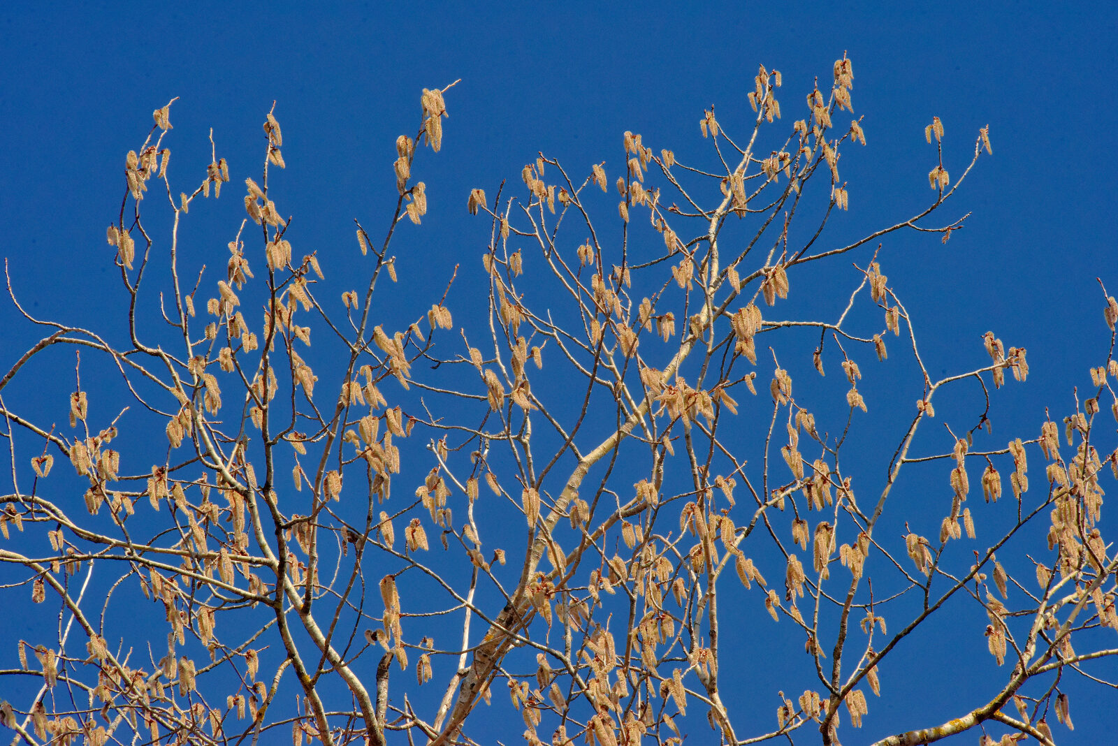 Valokuvaaja: Reijo Juurinen Valokuvaaja: Reijo Juurinen