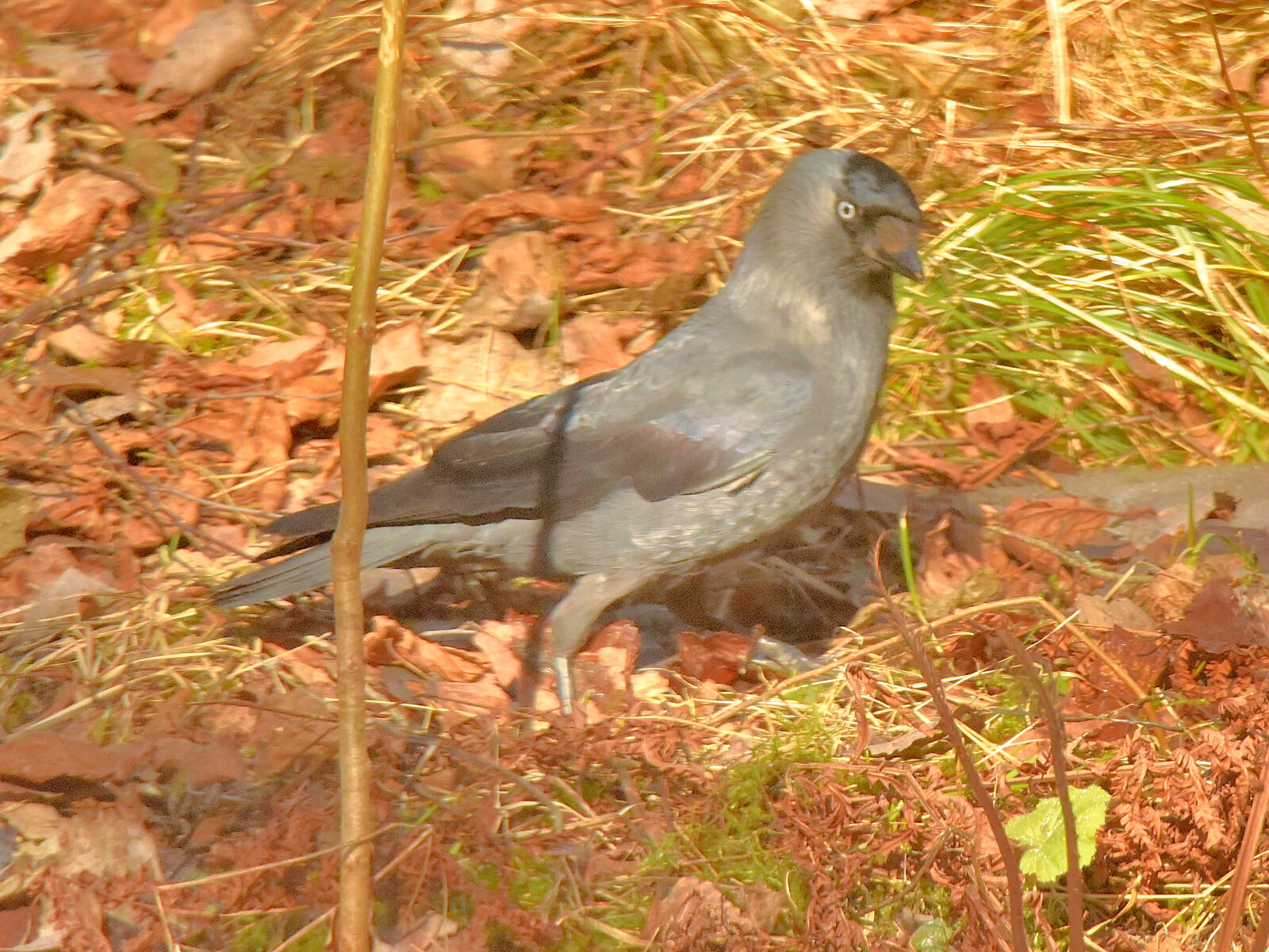 Valokuvaaja: Reijo Juurinen