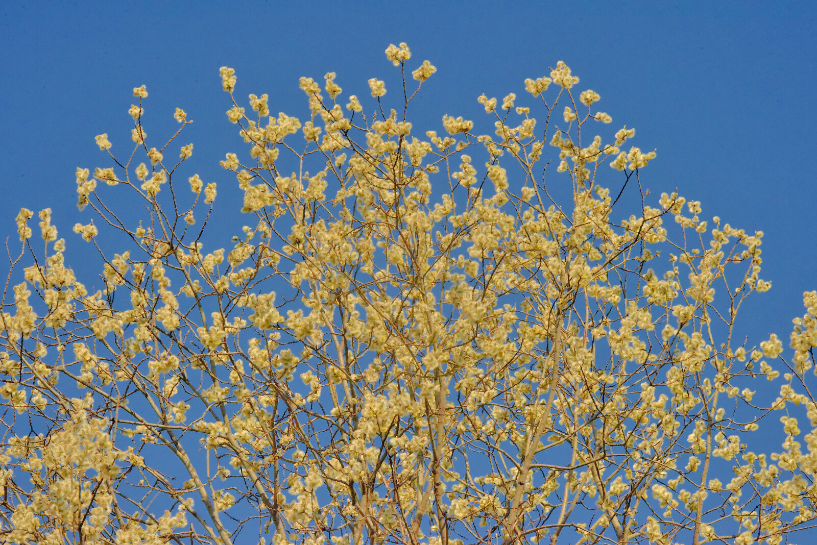 Valokuvaaja: Reijo Juurinen