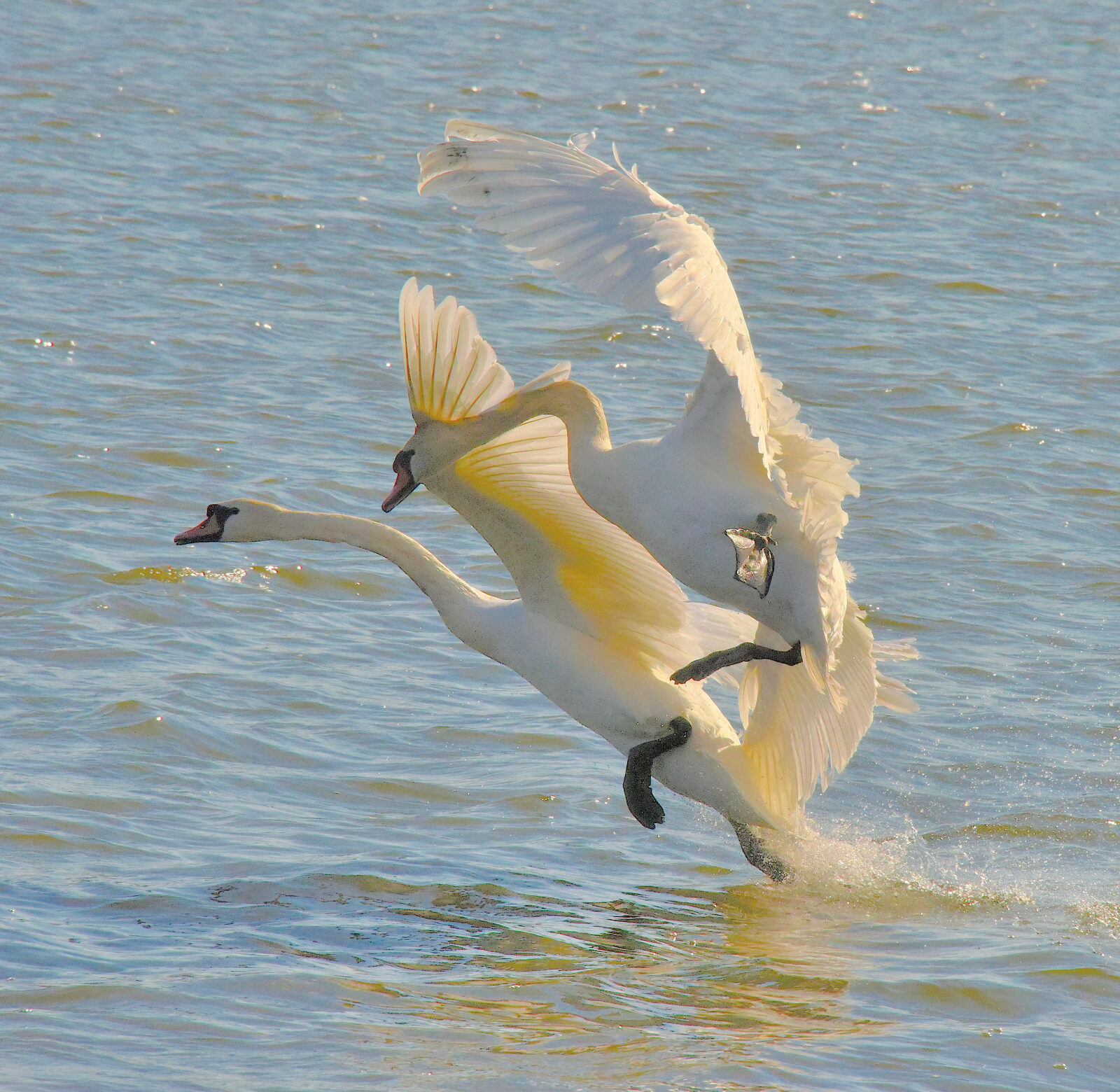 Valokuvaaja: Reijo Juurinen