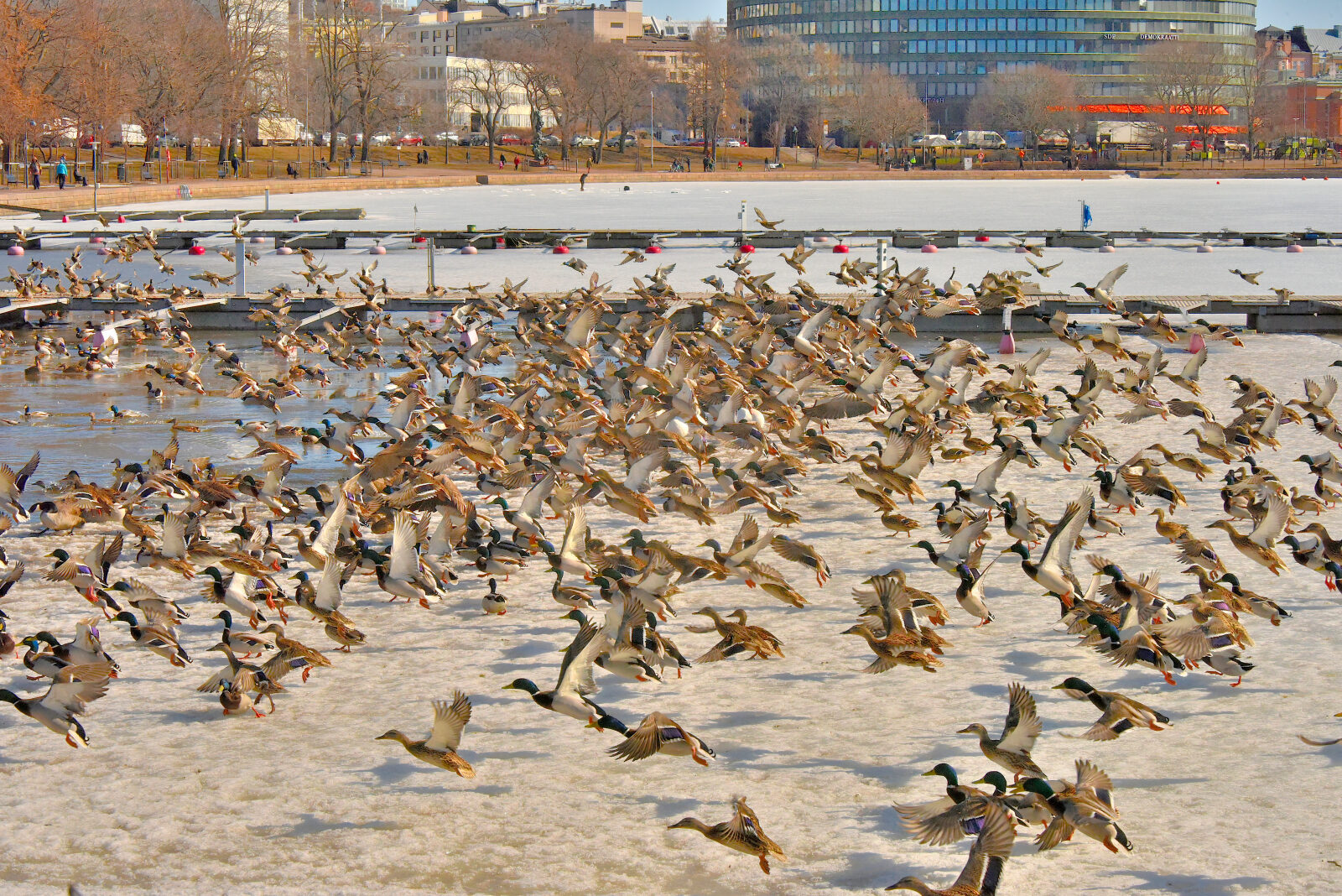 Valokuvaaja: Reijo Juurinen