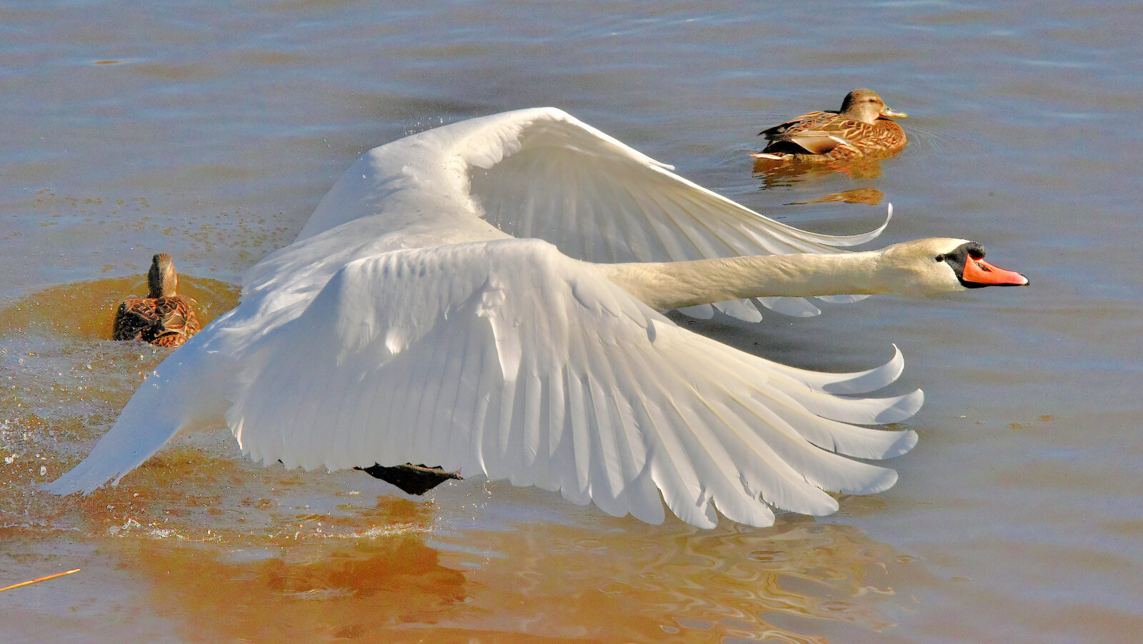 Valokuvaaja: Reijo Juurinen