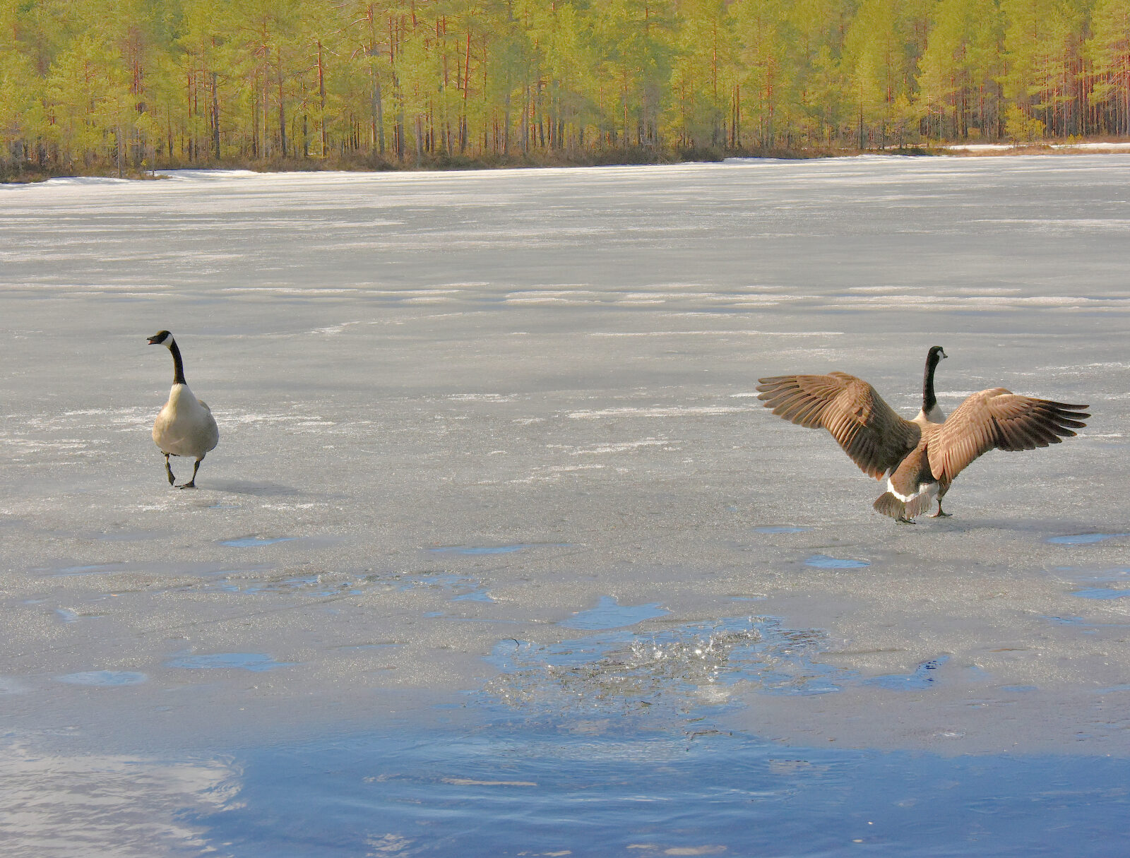 Valokuvaaja: Reijo Juurinen