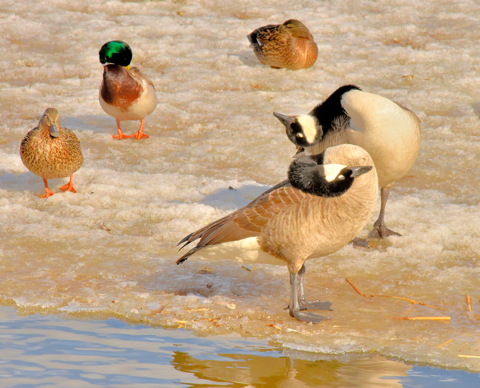 Valokuvaaja: Reijo Juurinen