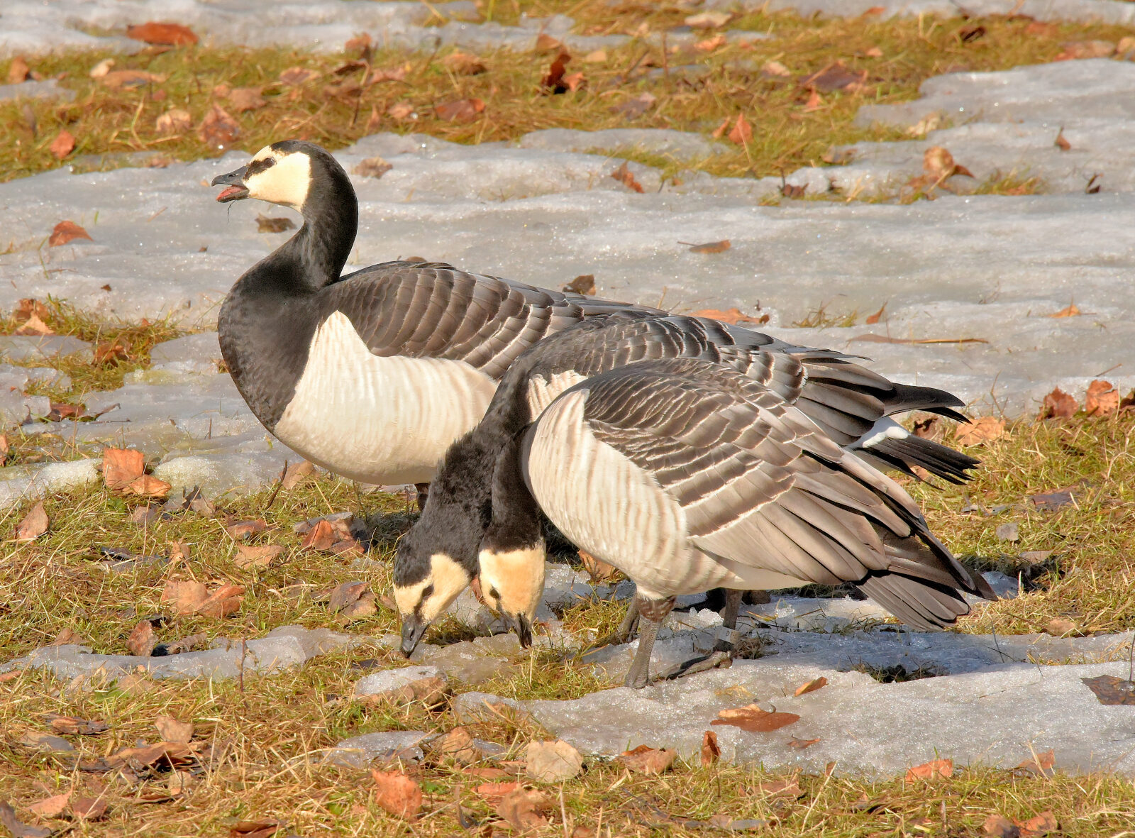 Valokuvaaja: Reijo Juurinen