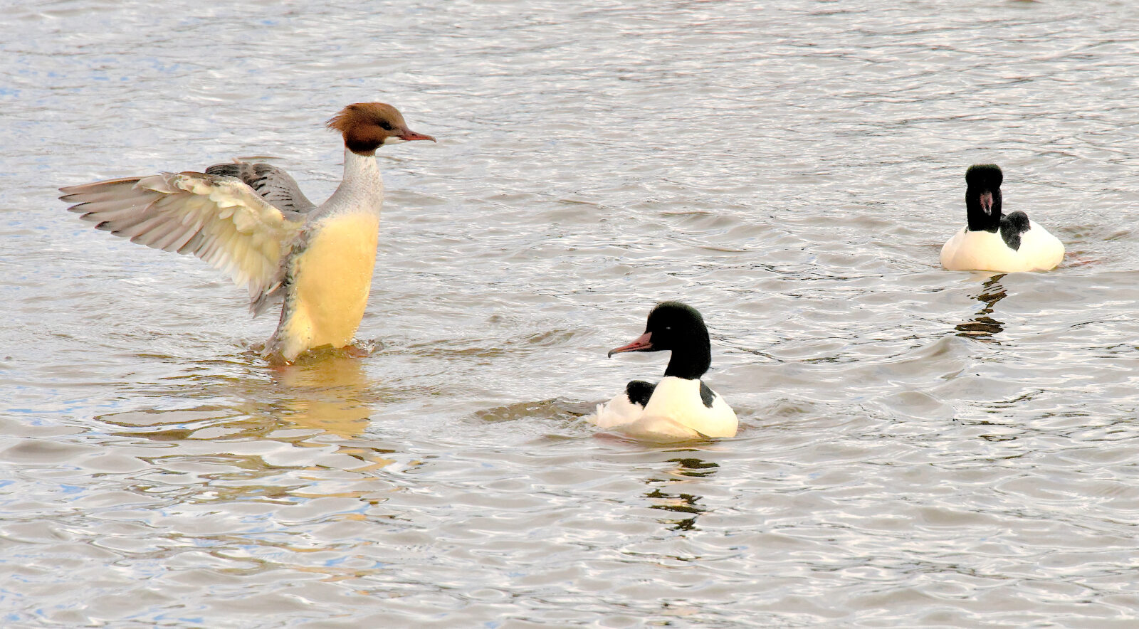Valokuvaaja: Reijo Juurinen