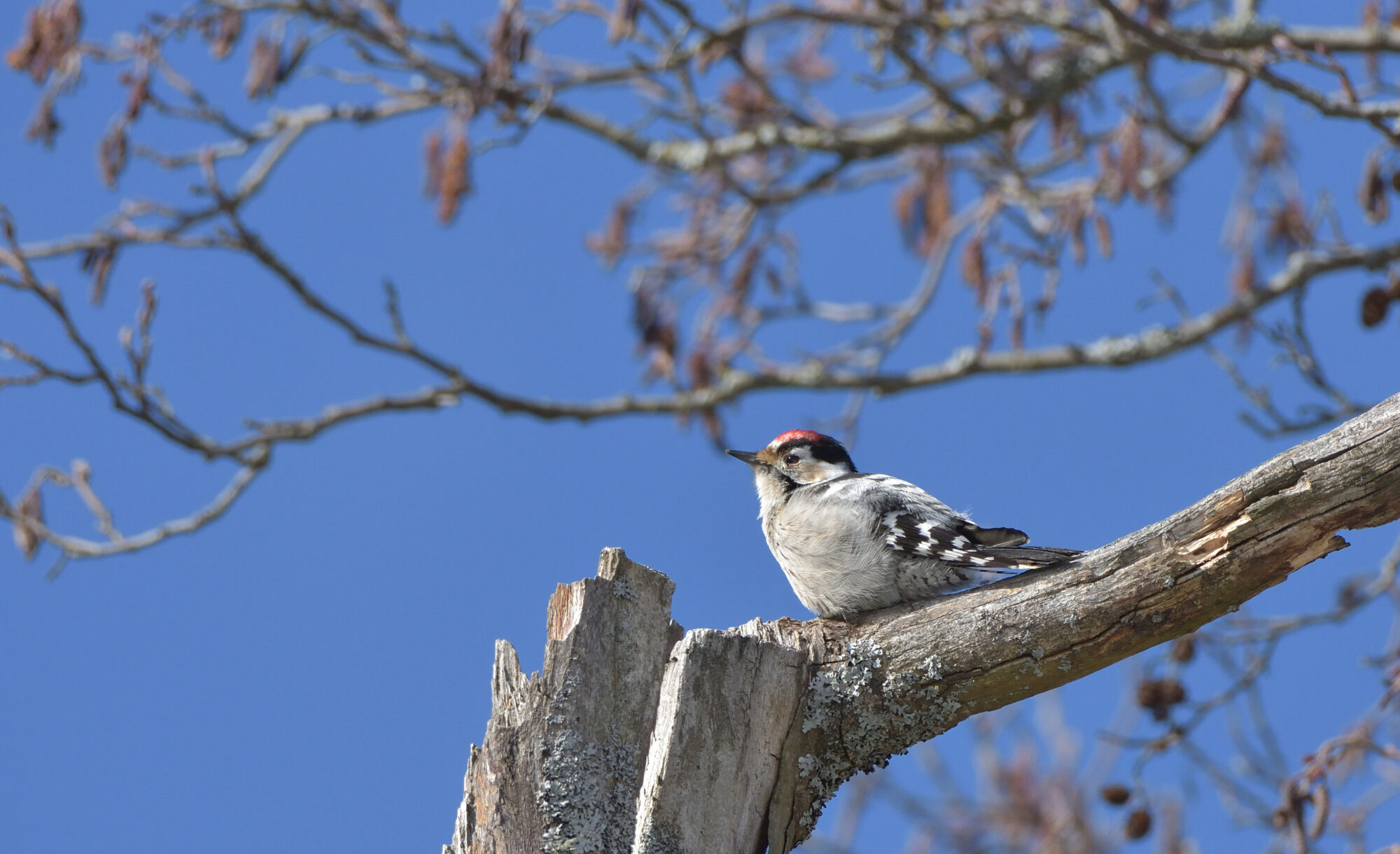 Valokuvaaja: Asko Heikkinen