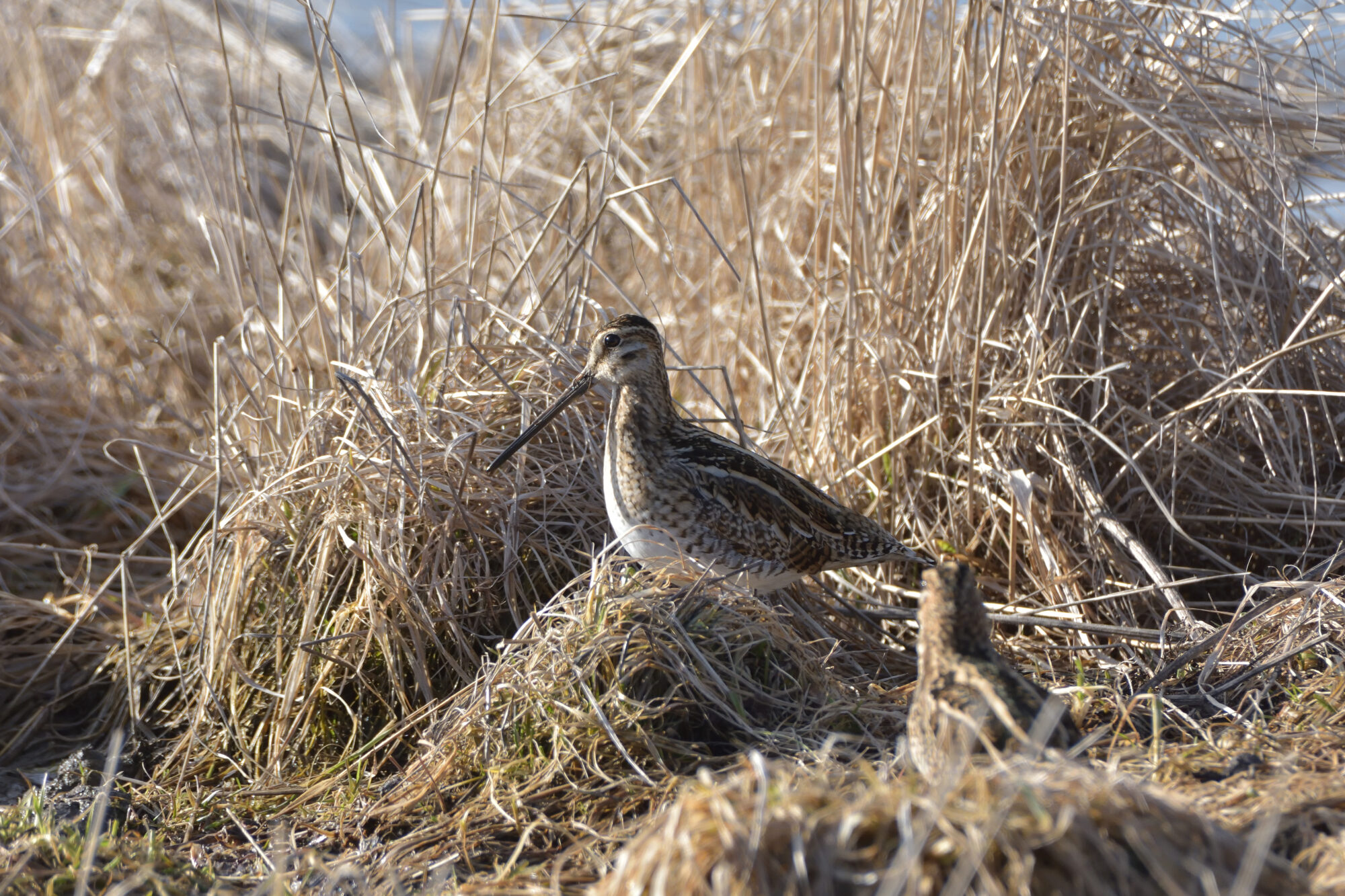 Valokuvaaja: Asko Heikkinen