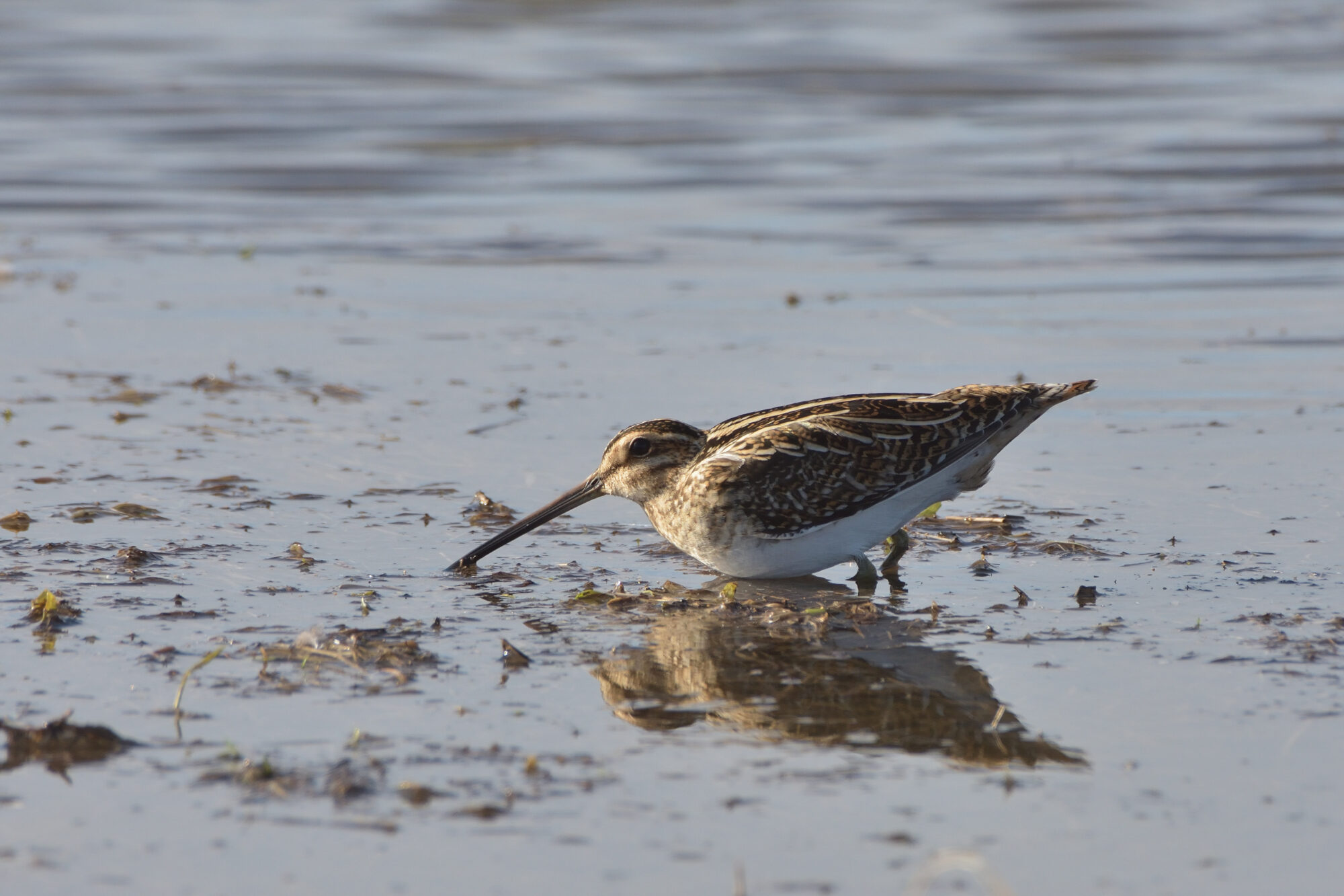 Valokuvaaja: Asko Heikkinen