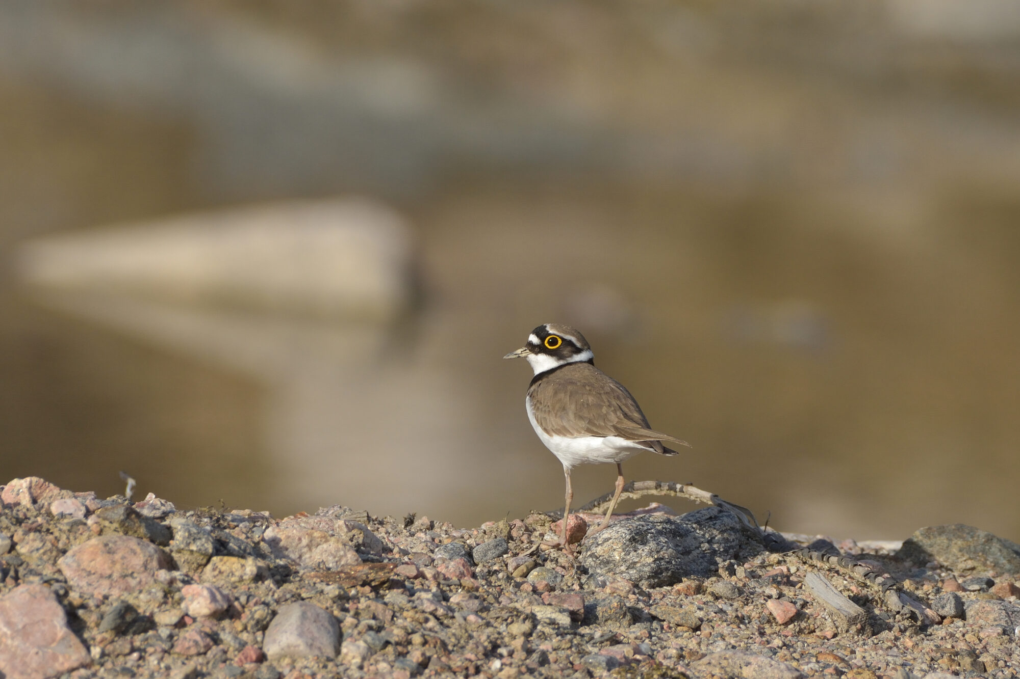 Valokuvaaja: Asko Heikkinen