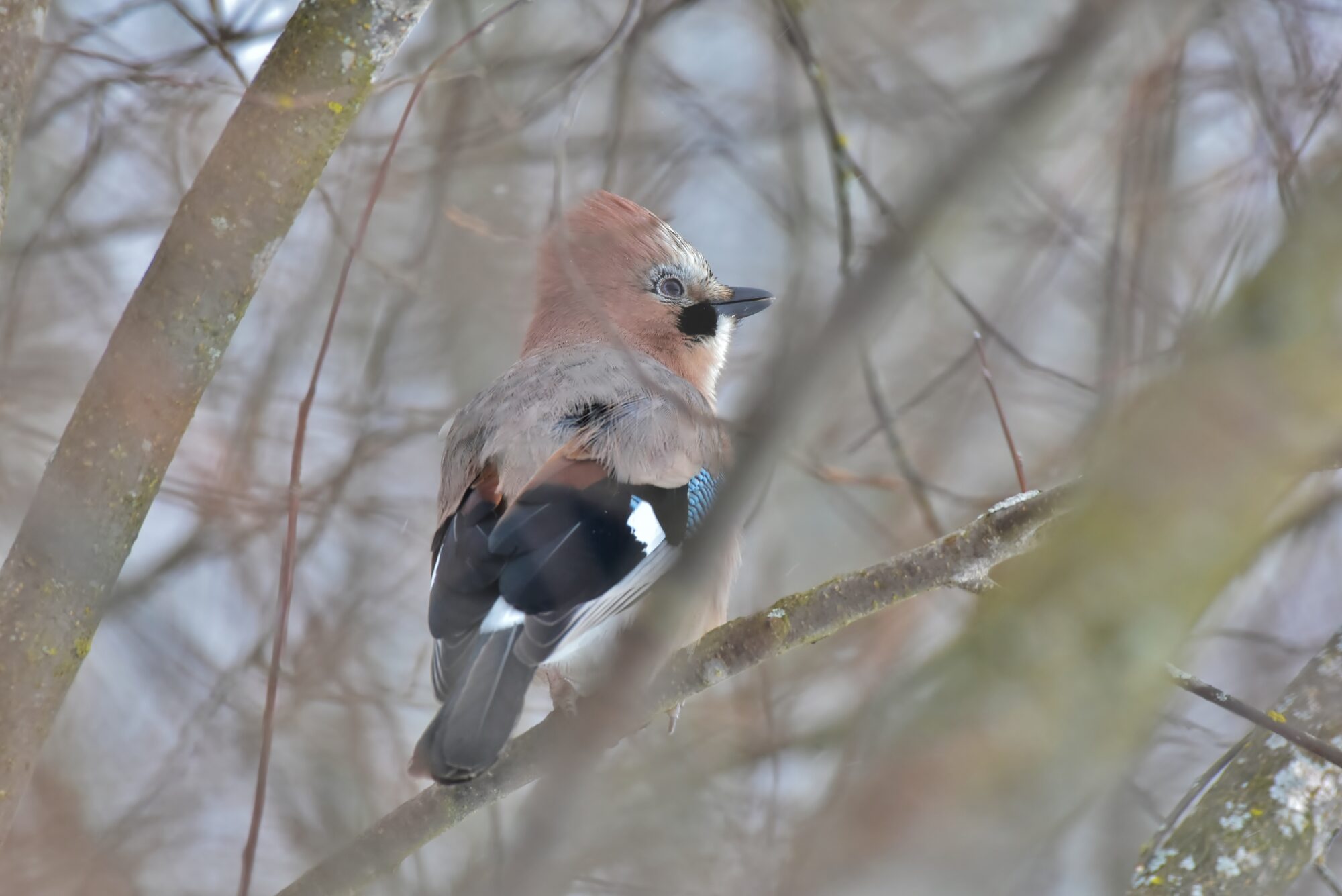 Valokuvaaja: Markku Pelkonen