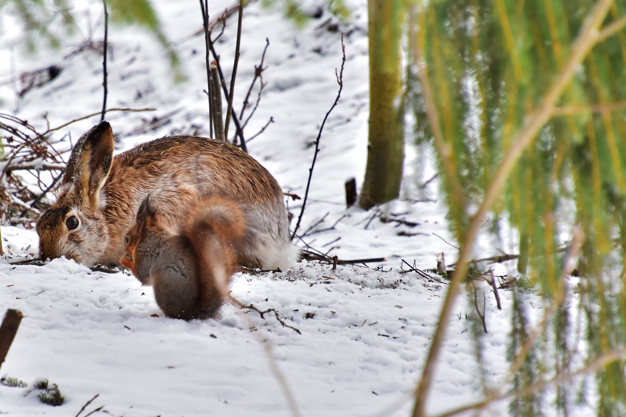 Valokuvaaja: Markku Pelkonen