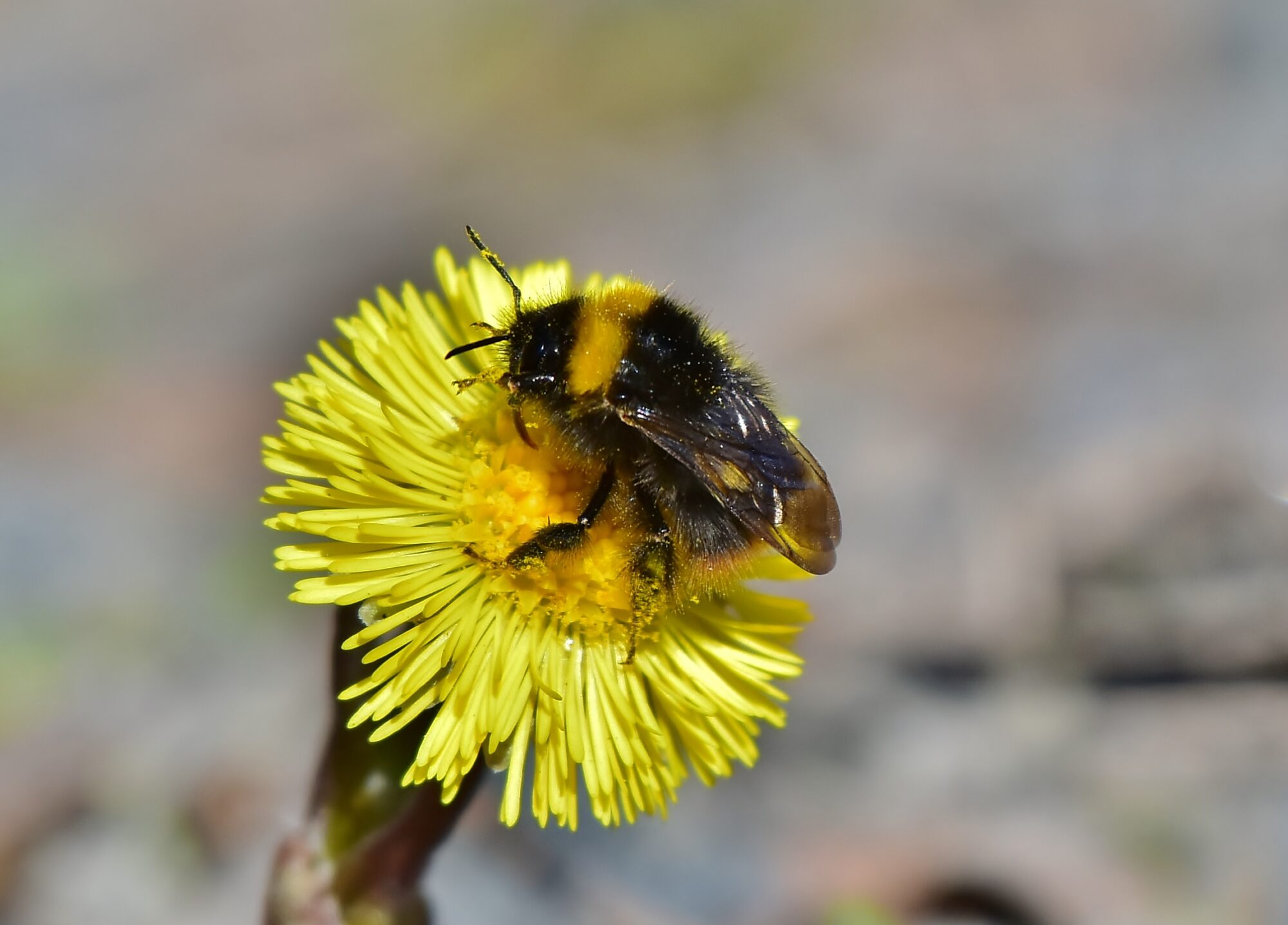 Valokuvaaja: Markku Pelkonen Valokuvaaja: Markku Pelkonen