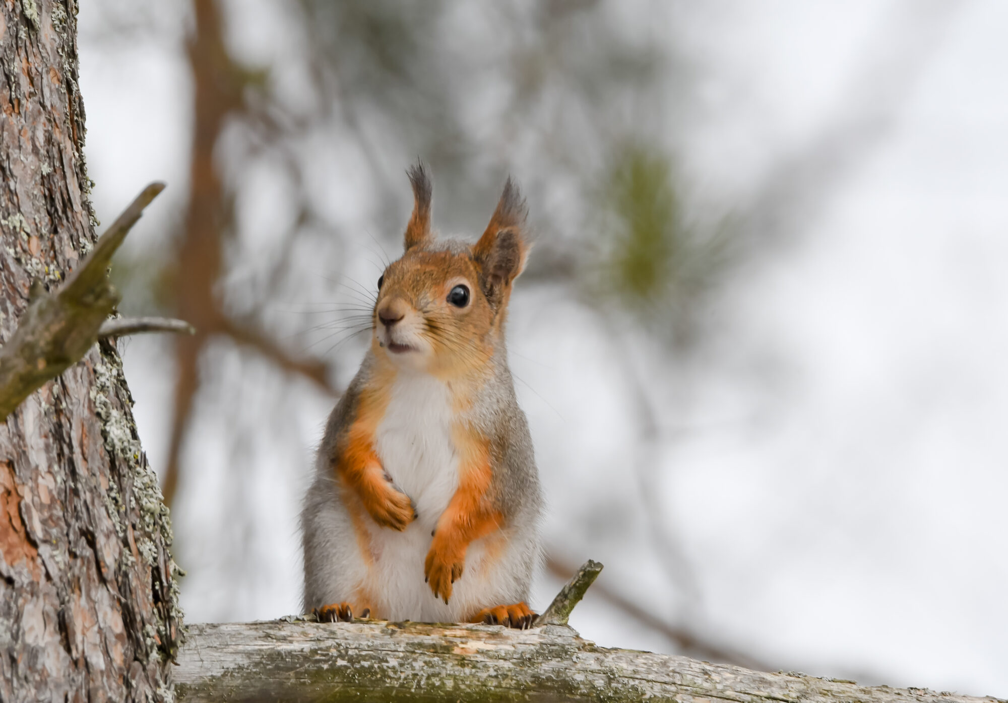 Valokuvaaja: Leena Rissanen
