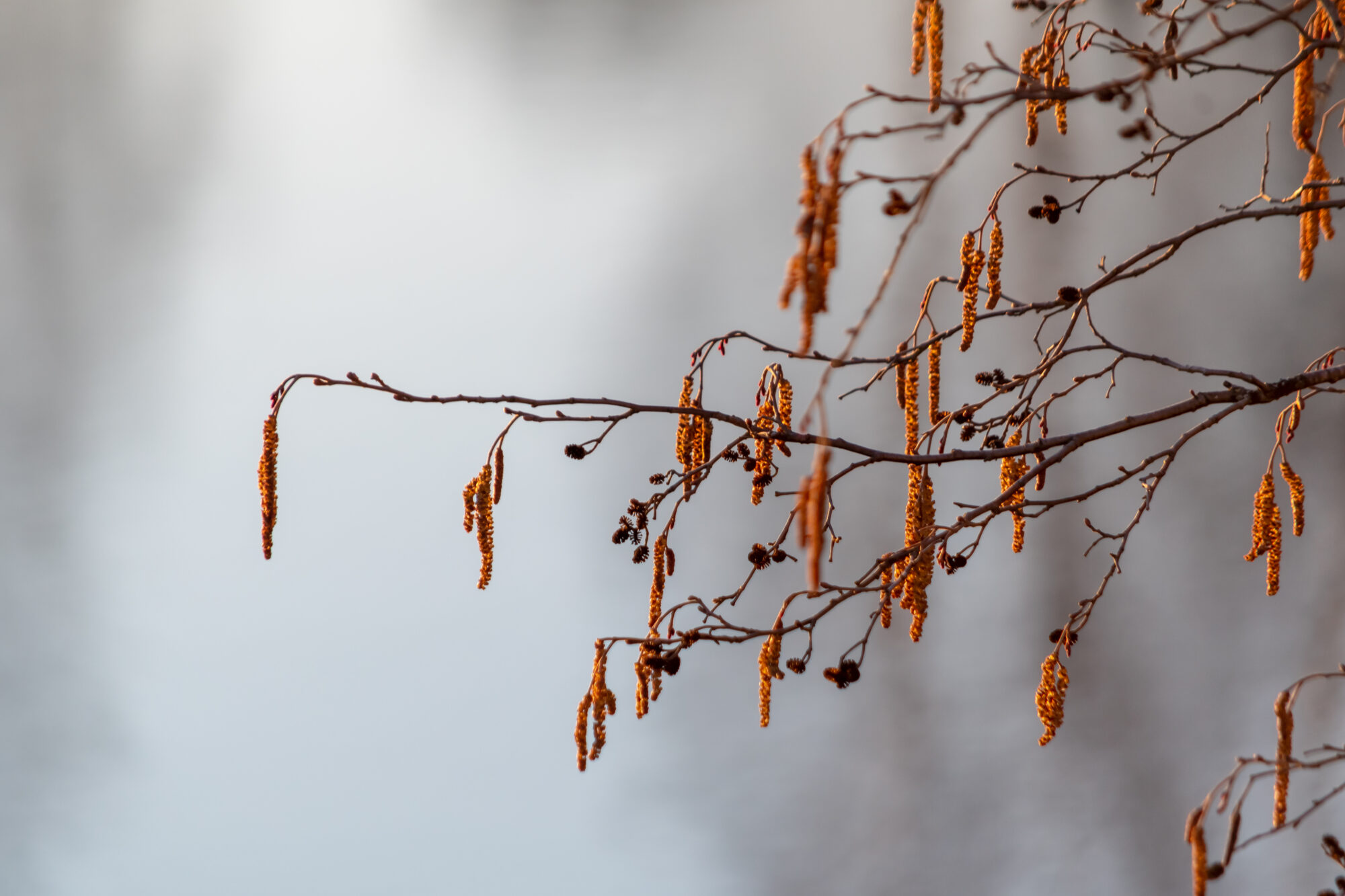 Valokuvaaja: Leena Rissanen