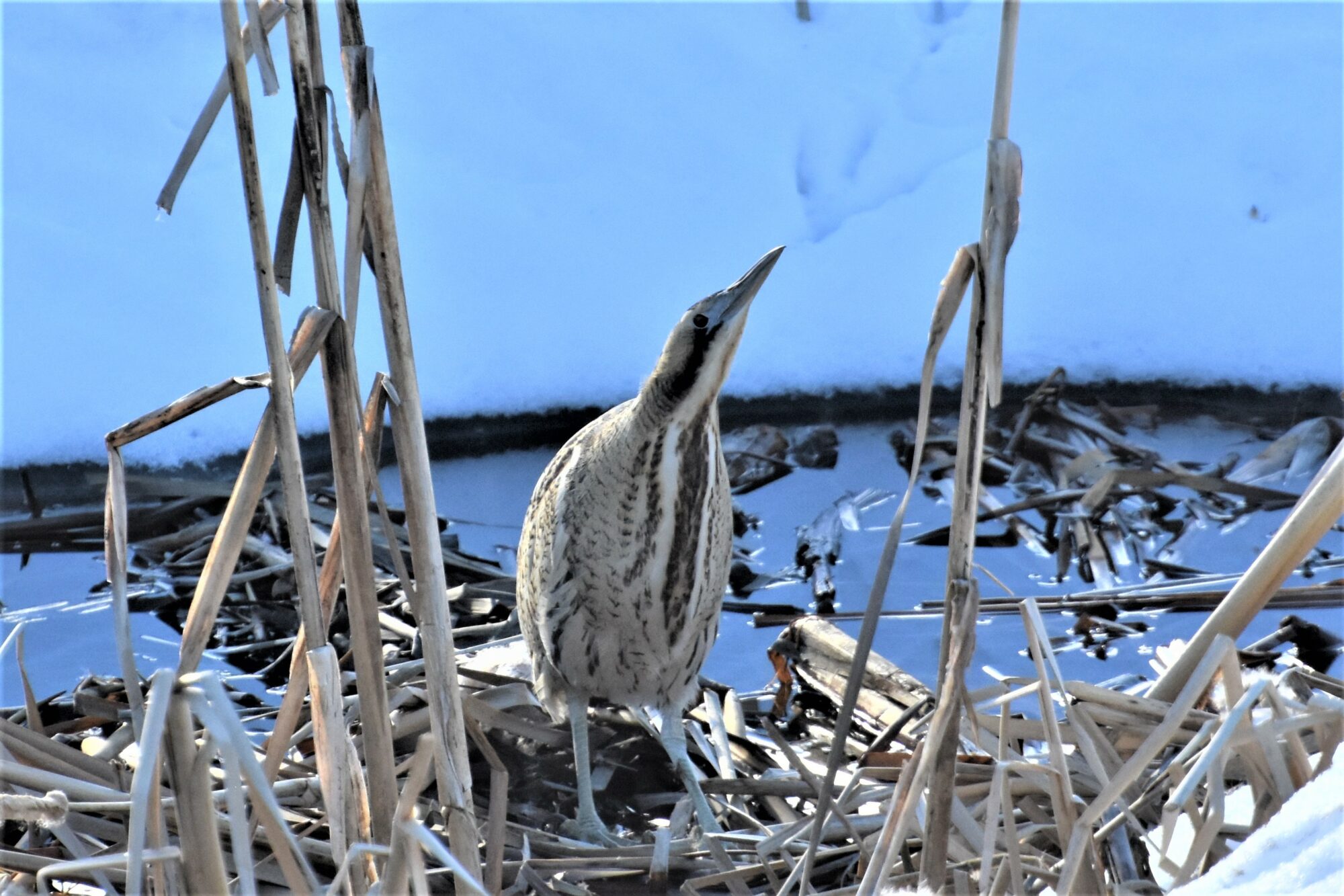 Valokuvaaja: Leena Silvola Valokuvaaja: Leena Silvola