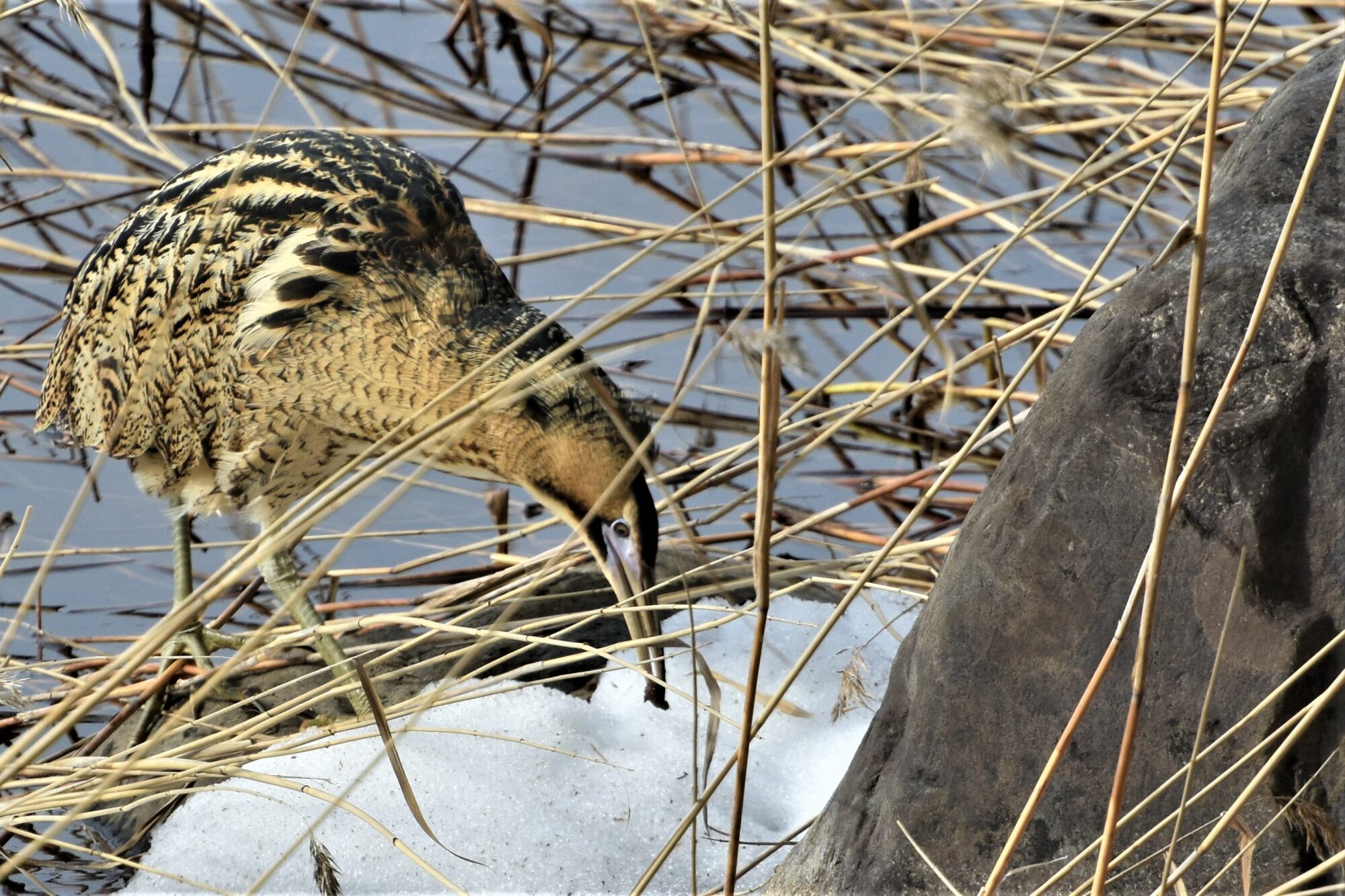 Valokuvaaja: Leena Silvola
