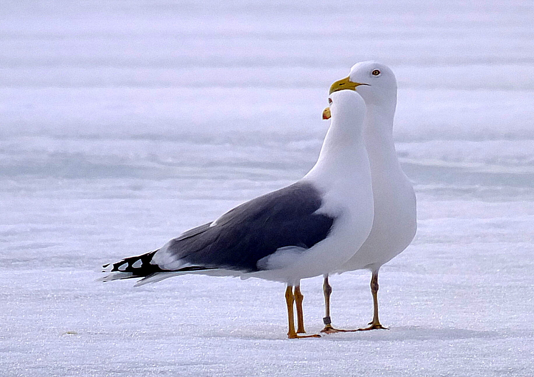 Valokuvaaja: Hannu Rasiranta