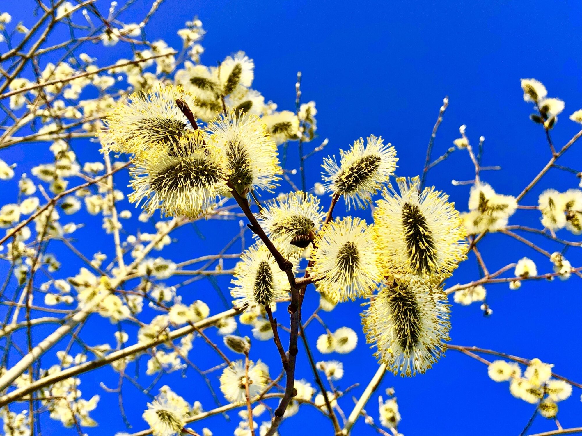 Valokuvaaja: Juhani Peltonen