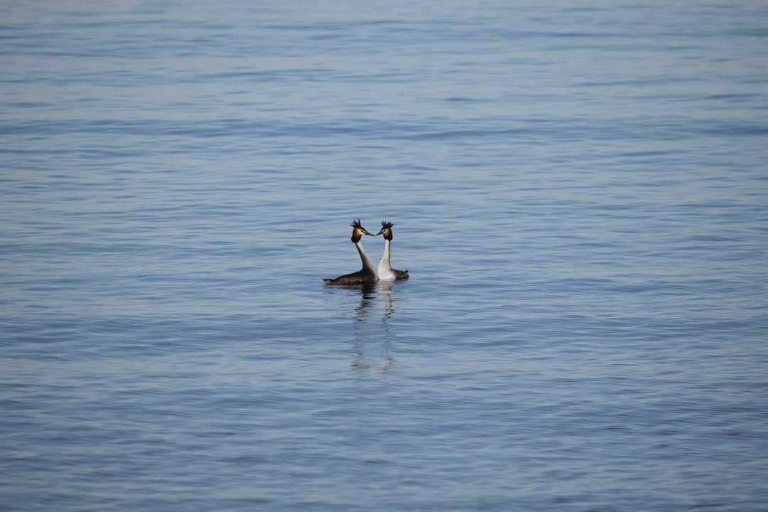 Valokuvaaja: Riitta Marjamäki