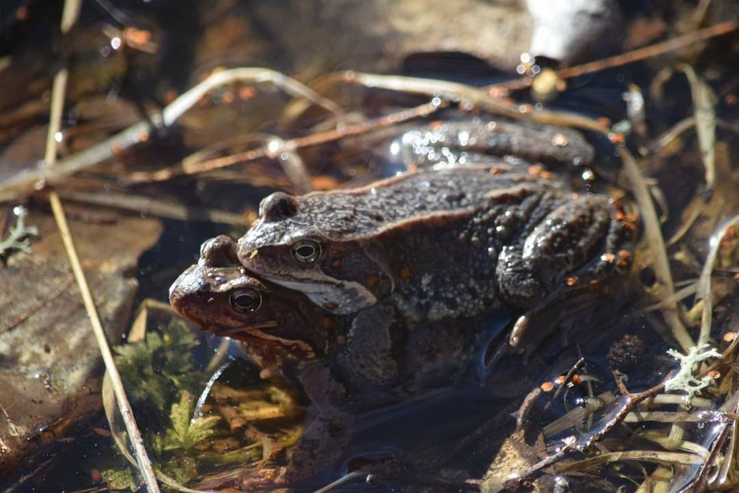 Valokuvaaja: Riitta Marjamäki