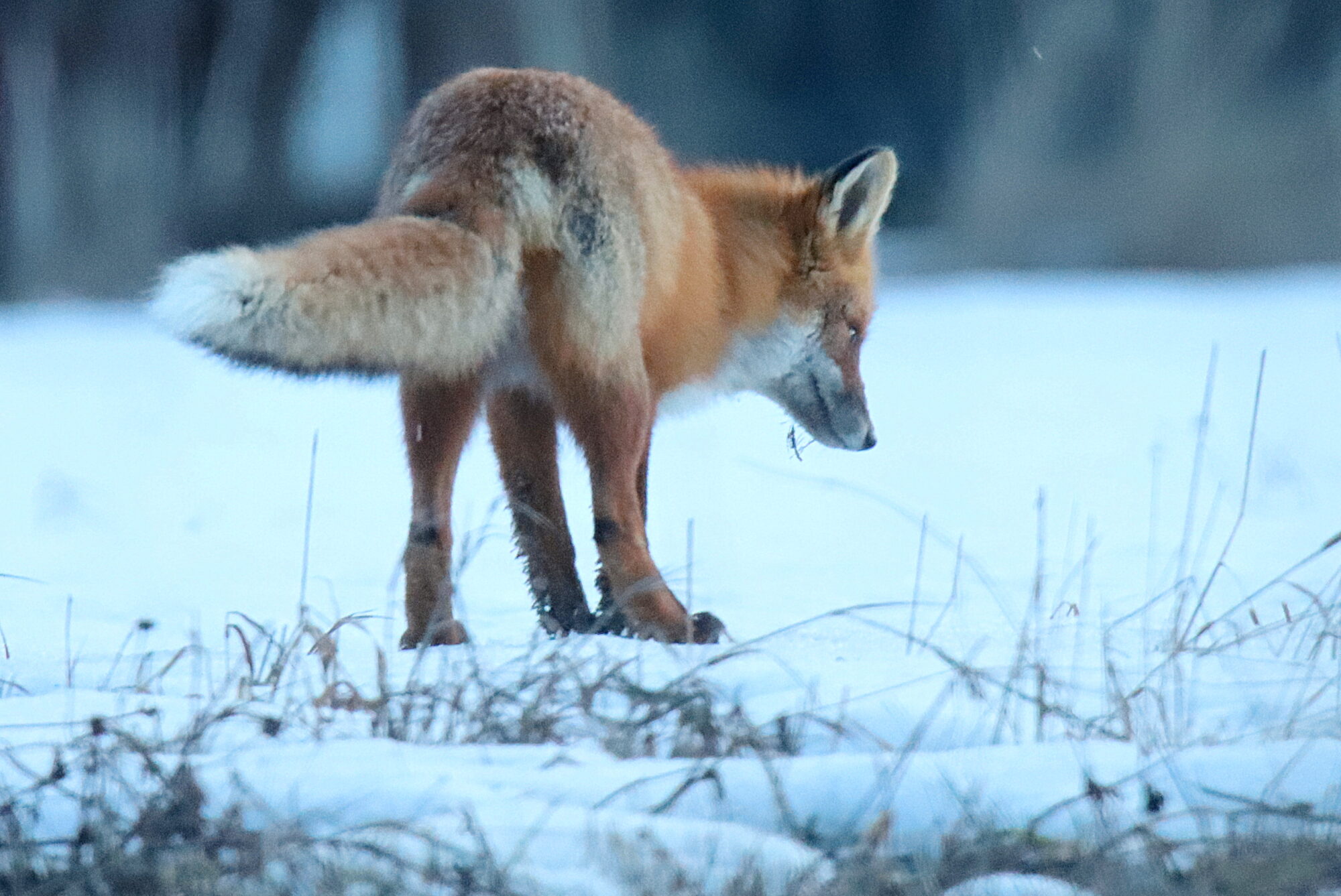 Valokuvaaja: sirpa jyske