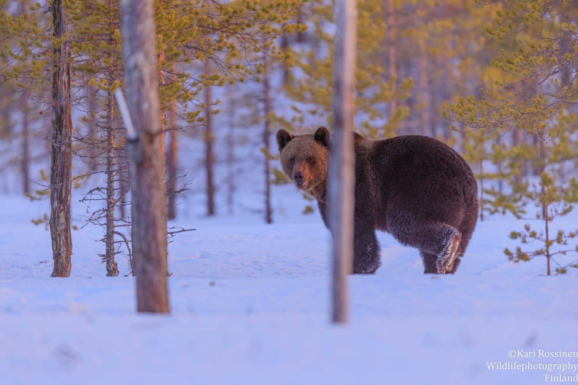 Valokuvaaja: Kari Rossinen