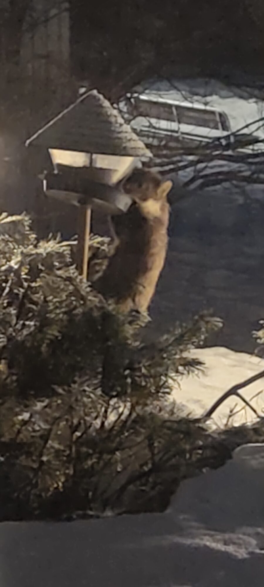 Valokuvaaja: Vesa Nykänen Valokuvaaja: Vesa Nykänen
