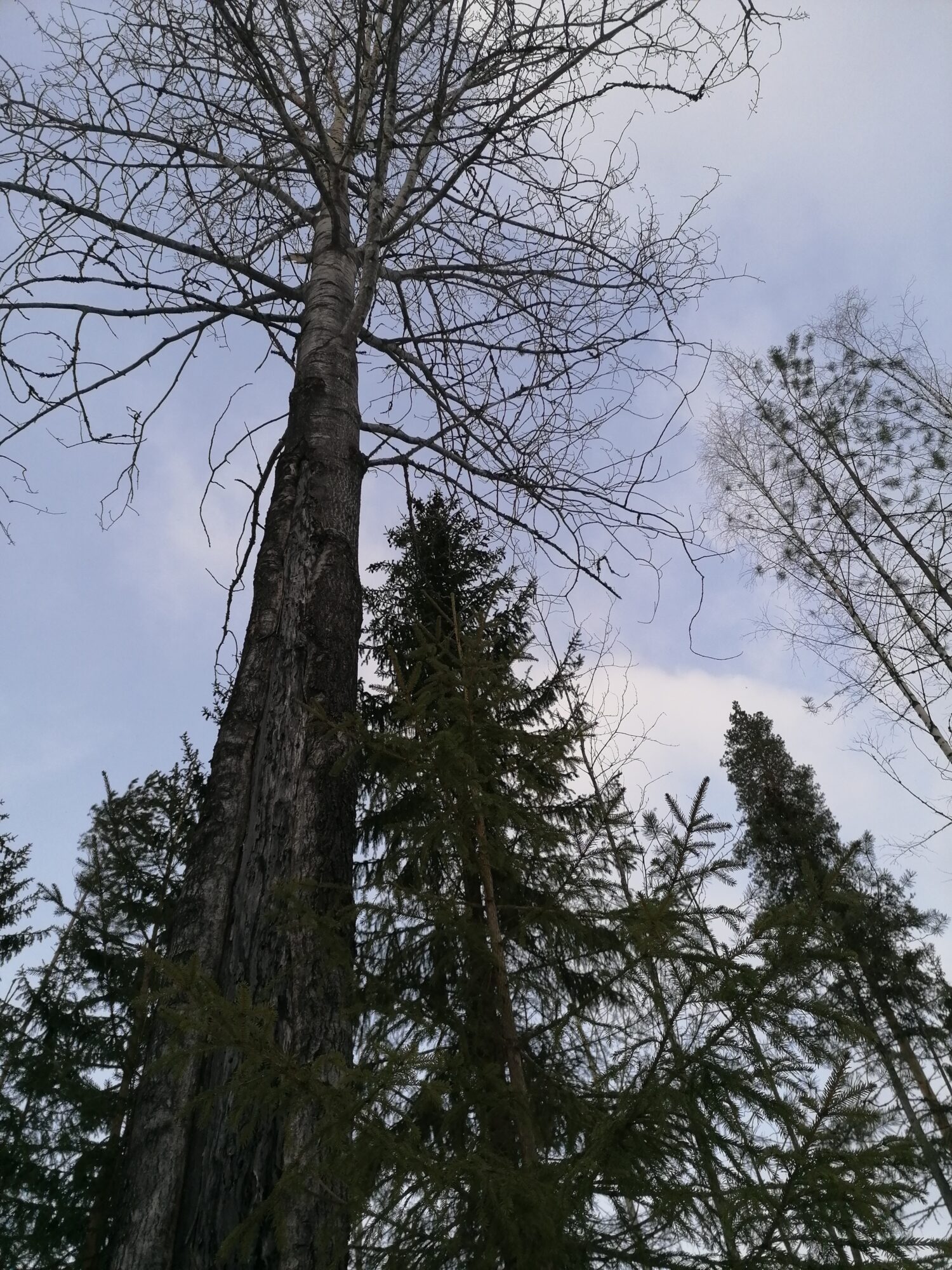 Valokuvaaja: Kaija Halonen