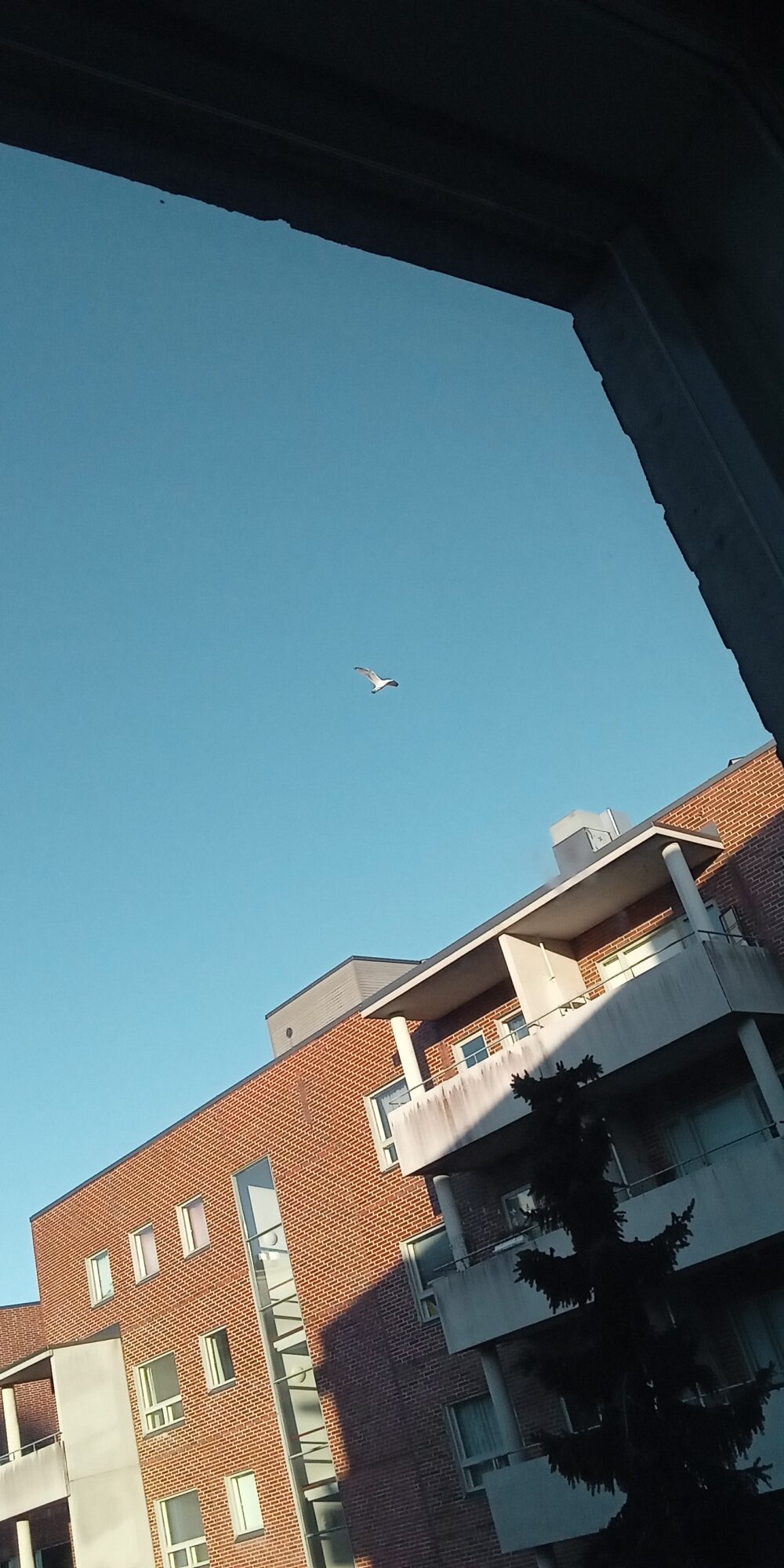 Valokuvaaja: Alvar Ilmonen