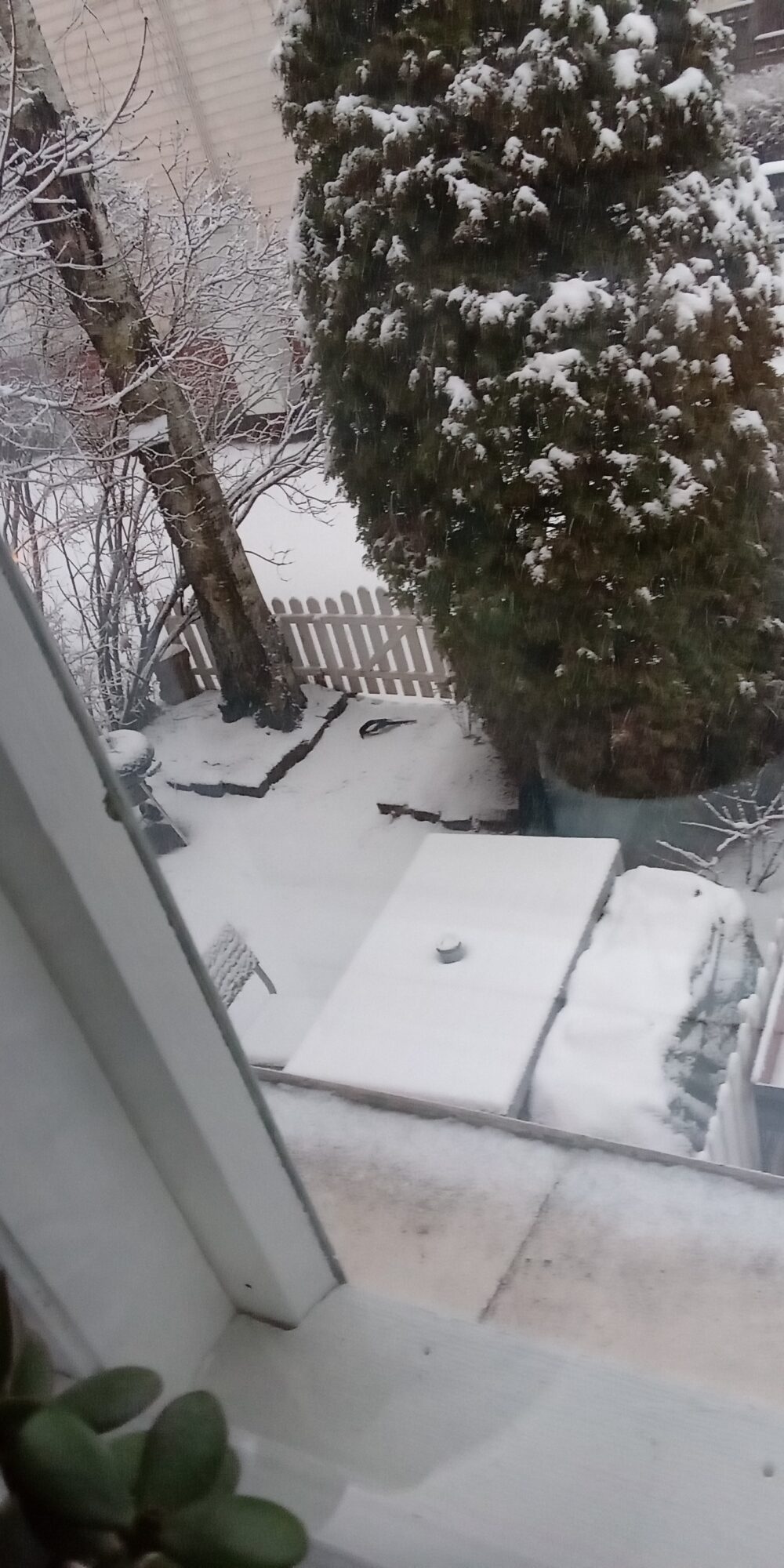 Valokuvaaja: Alvar Ilmonen