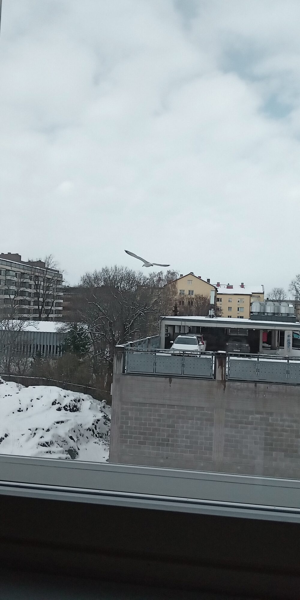 Valokuvaaja: Alvar Ilmonen