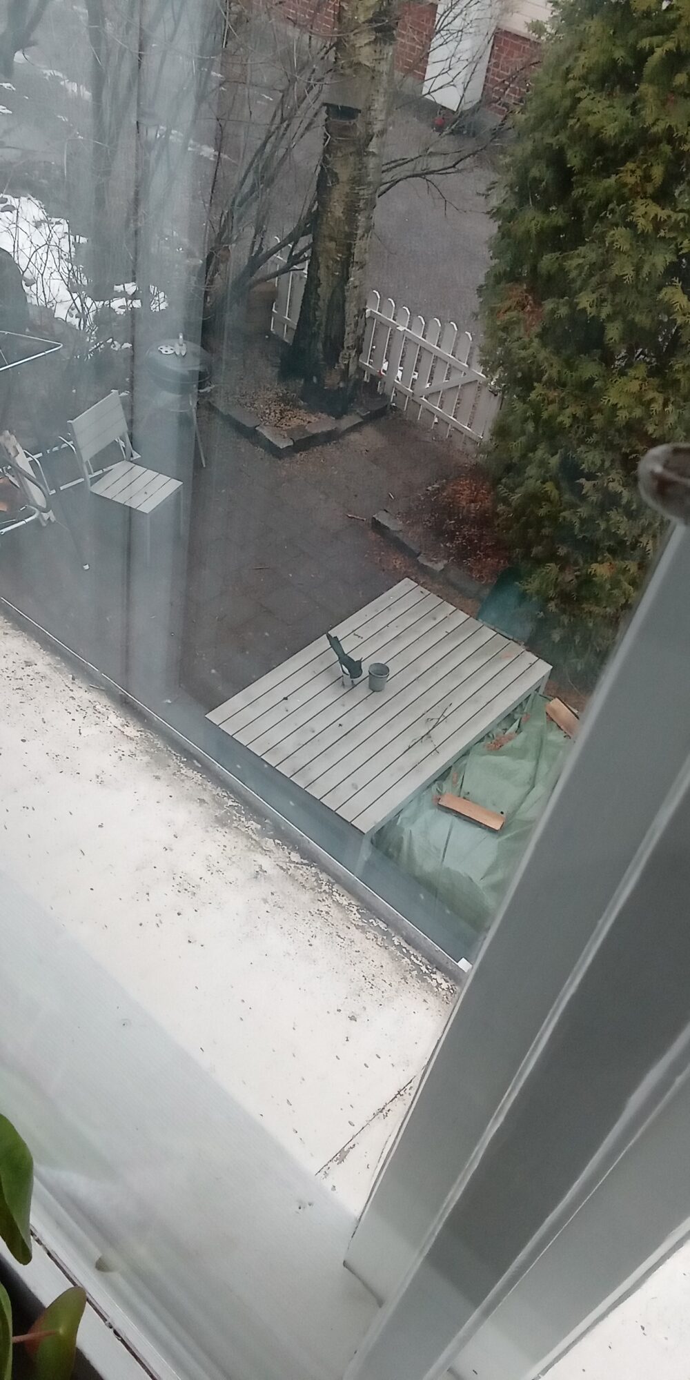 Valokuvaaja: Alvar Ilmonen