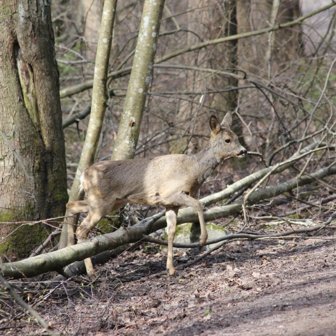 Valokuvaaja: Marjo Reilamo