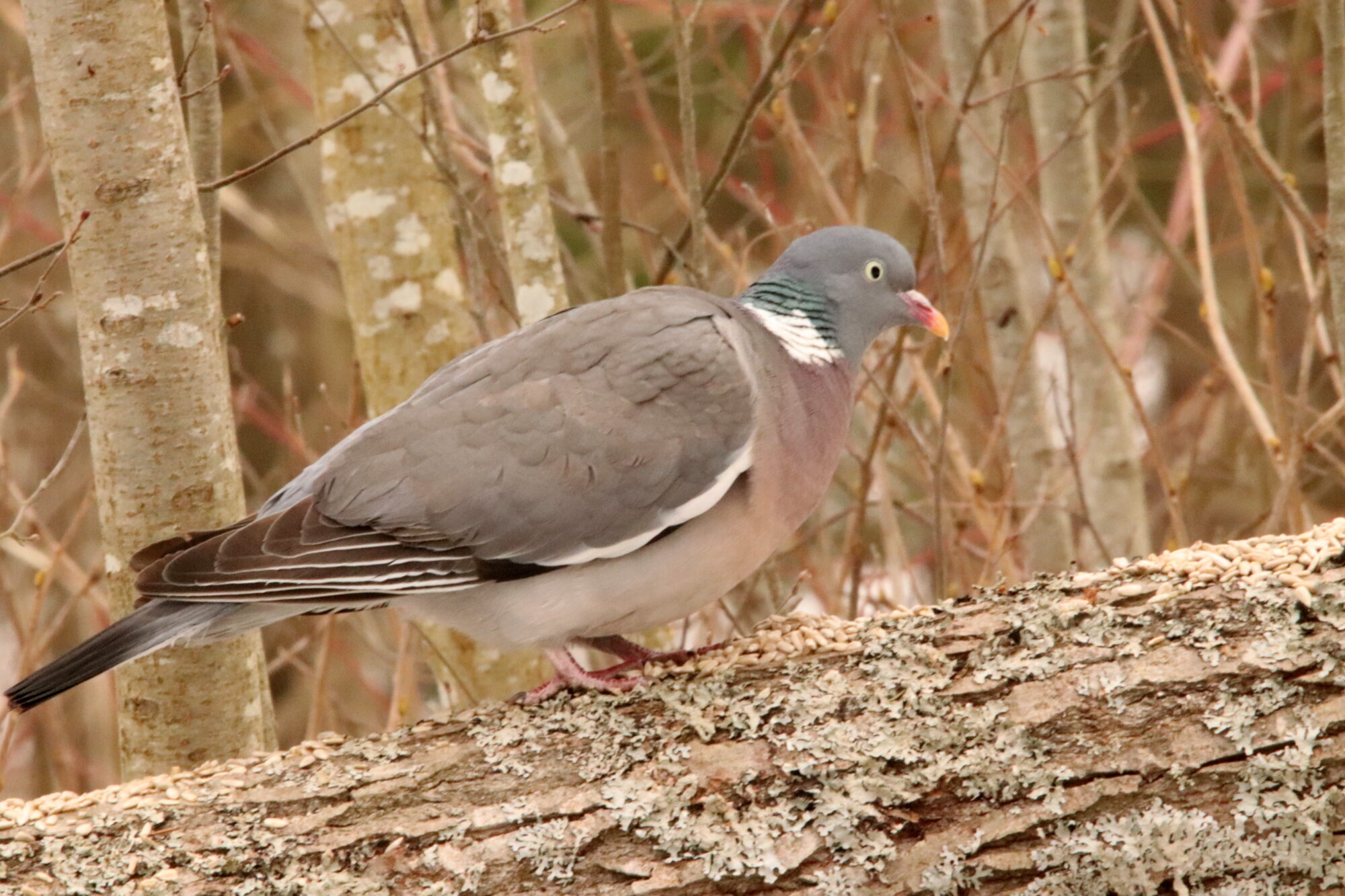 Valokuvaaja: Irja Lehtinen