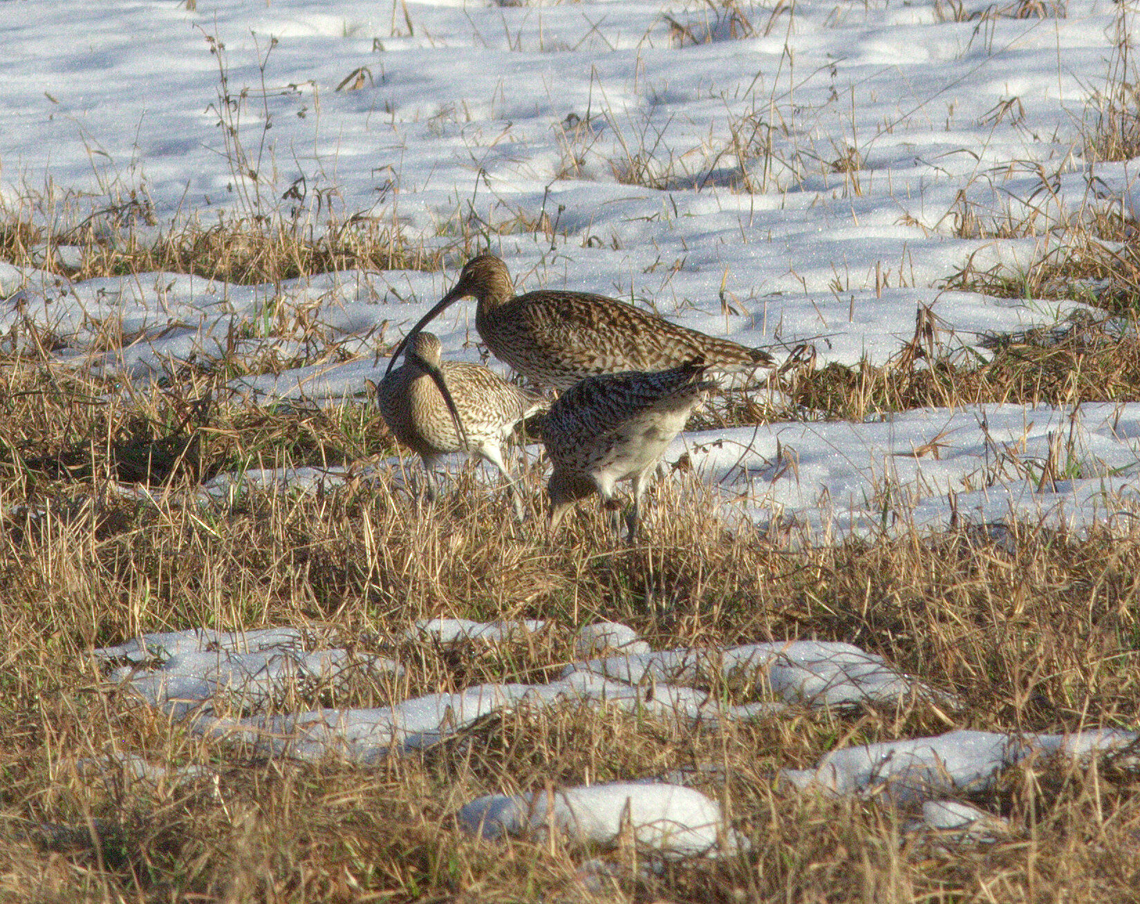 Valokuvaaja: Tapio Keinonen Valokuvaaja: Tapio Keinonen