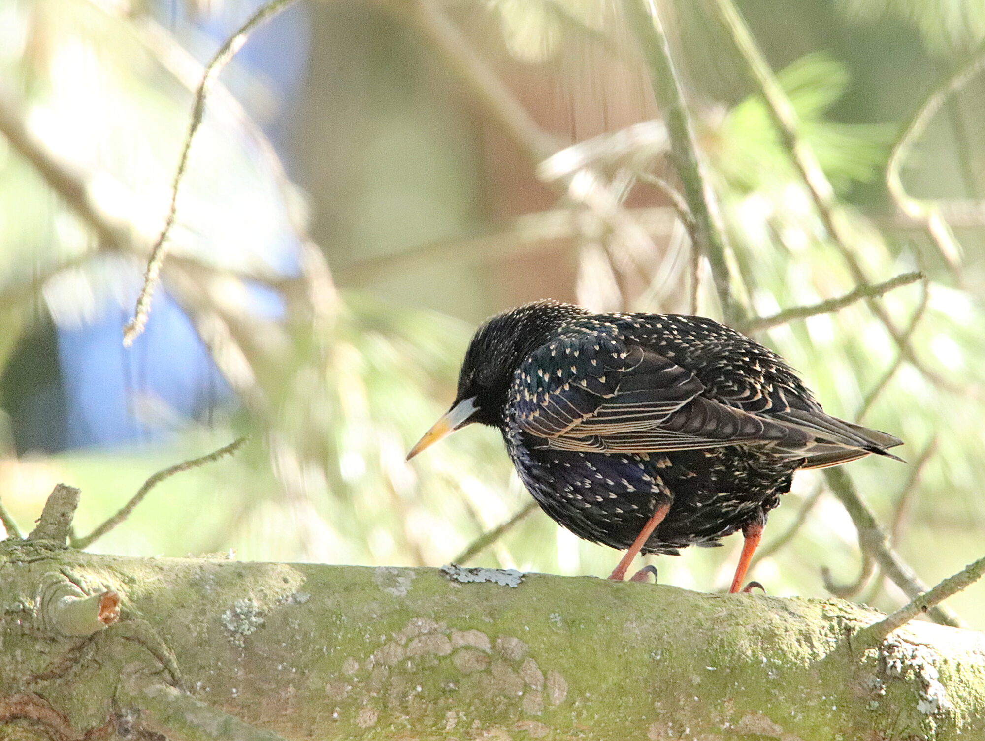 Valokuvaaja: Irja Lehtinen