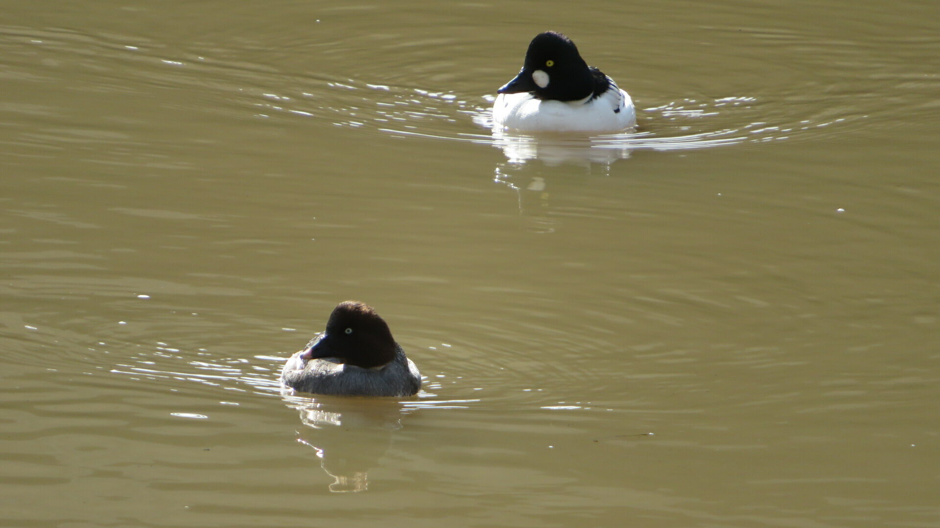 Valokuvaaja: Risto Kangassalo