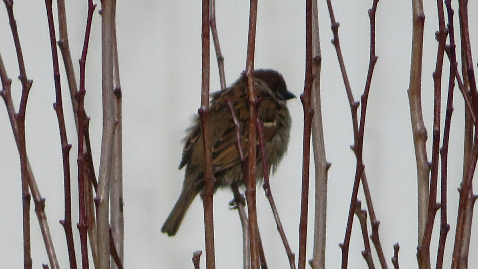 Valokuvaaja: Risto Kangassalo