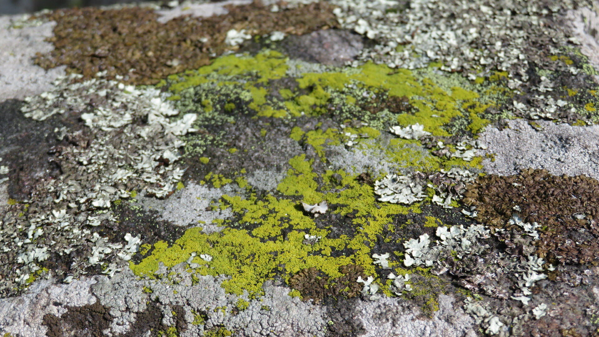 Valokuvaaja: Risto Kangassalo