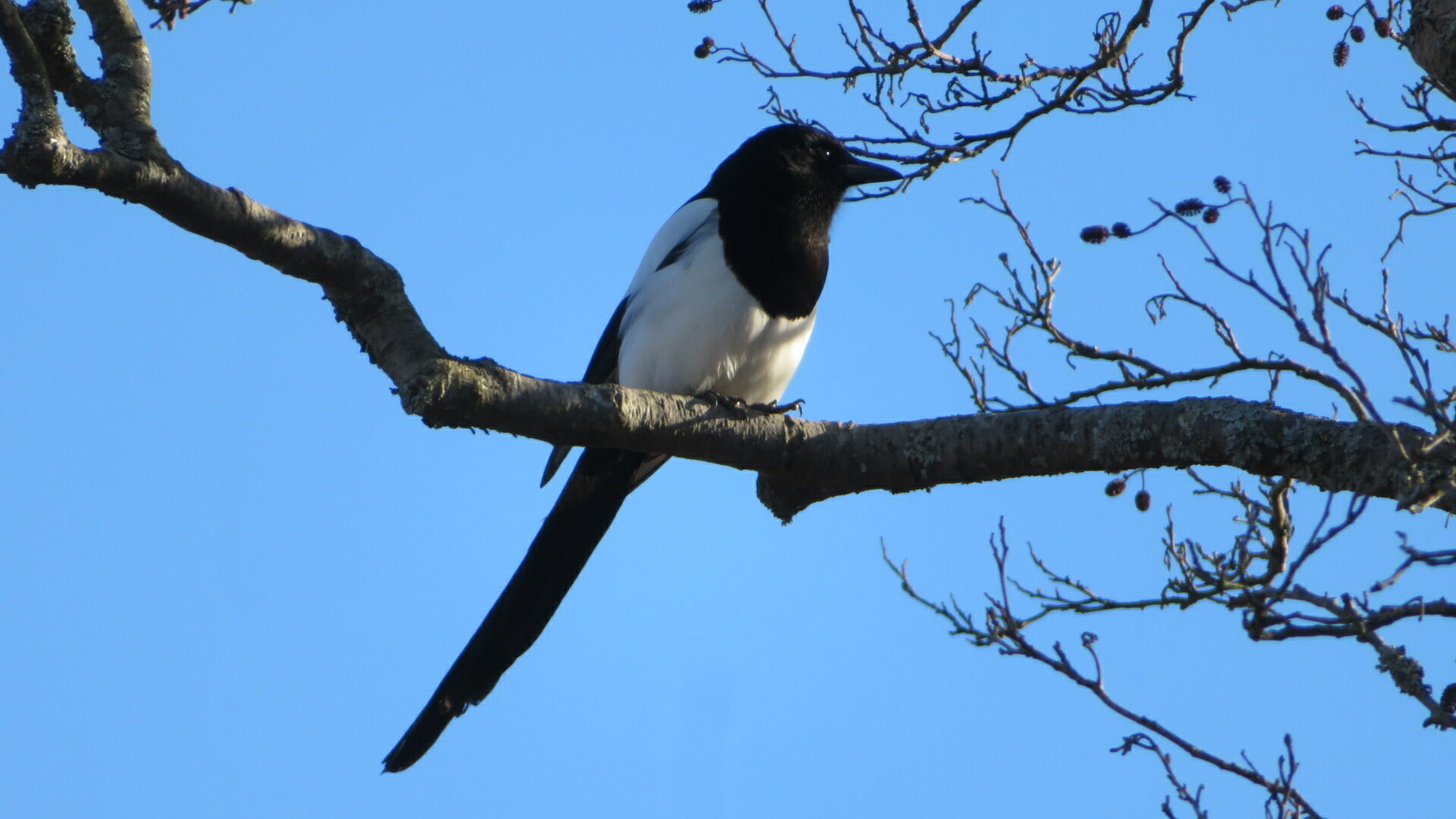 Valokuvaaja: Risto Kangassalo