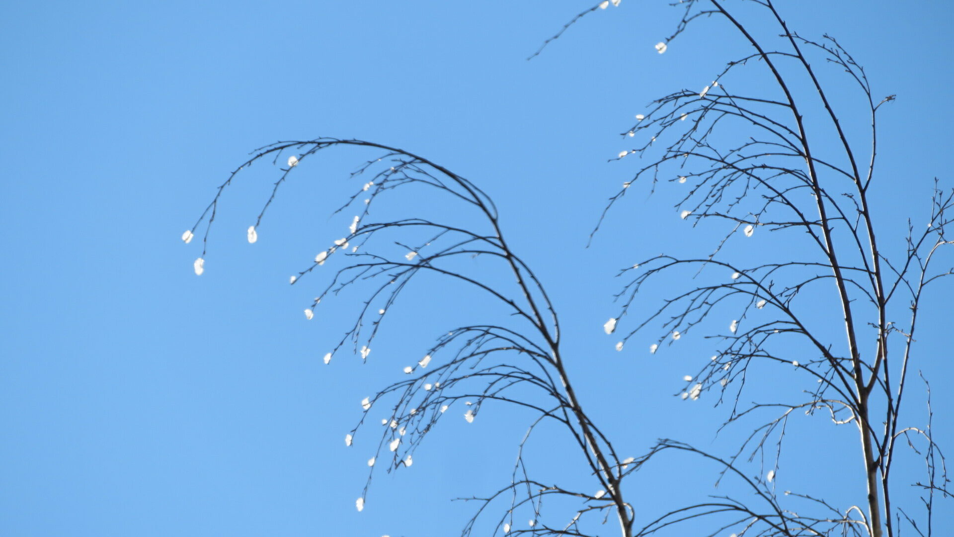 Valokuvaaja: Risto Kangassalo