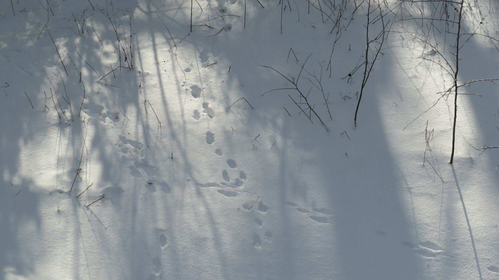 Valokuvaaja: Risto Kangassalo