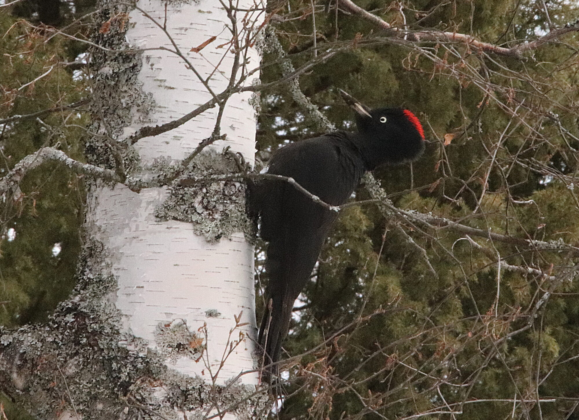Valokuvaaja: Irja Lehtinen