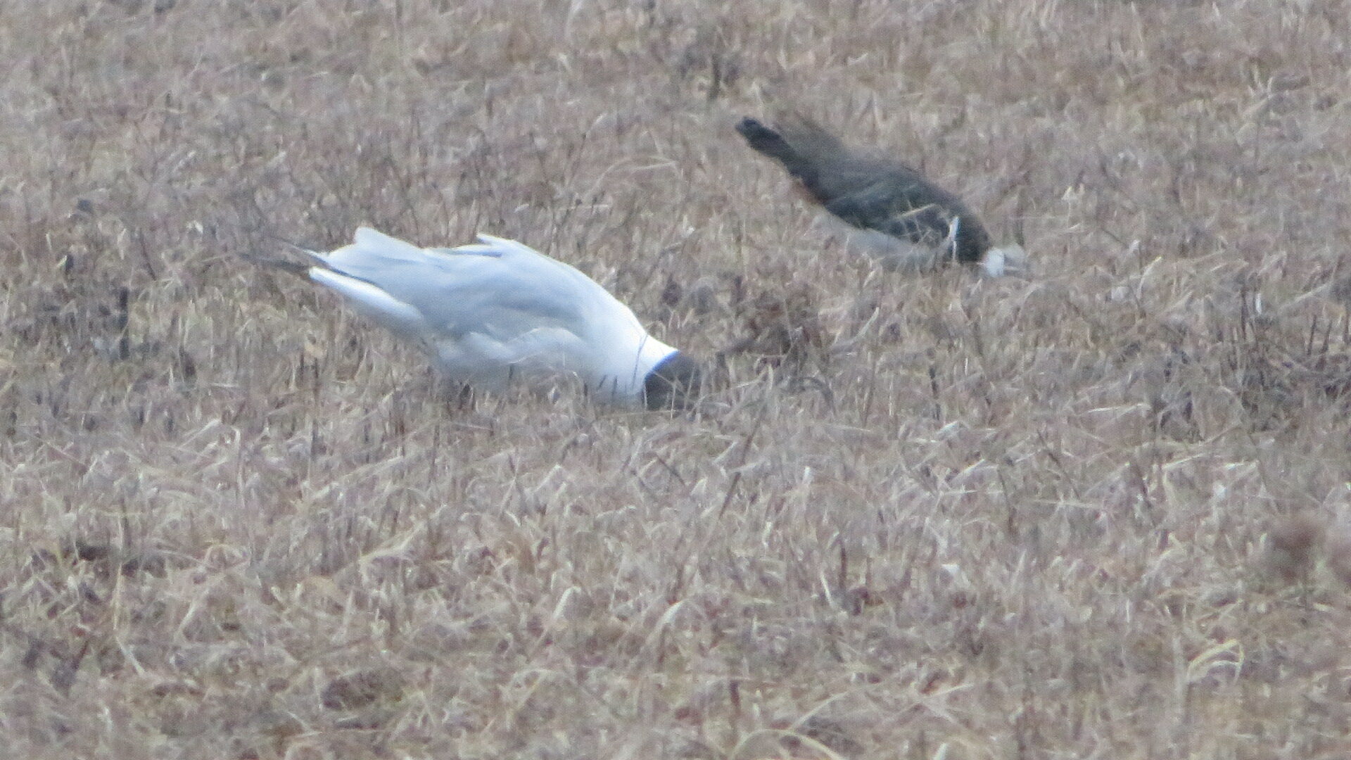 Valokuvaaja: Risto Kangassalo