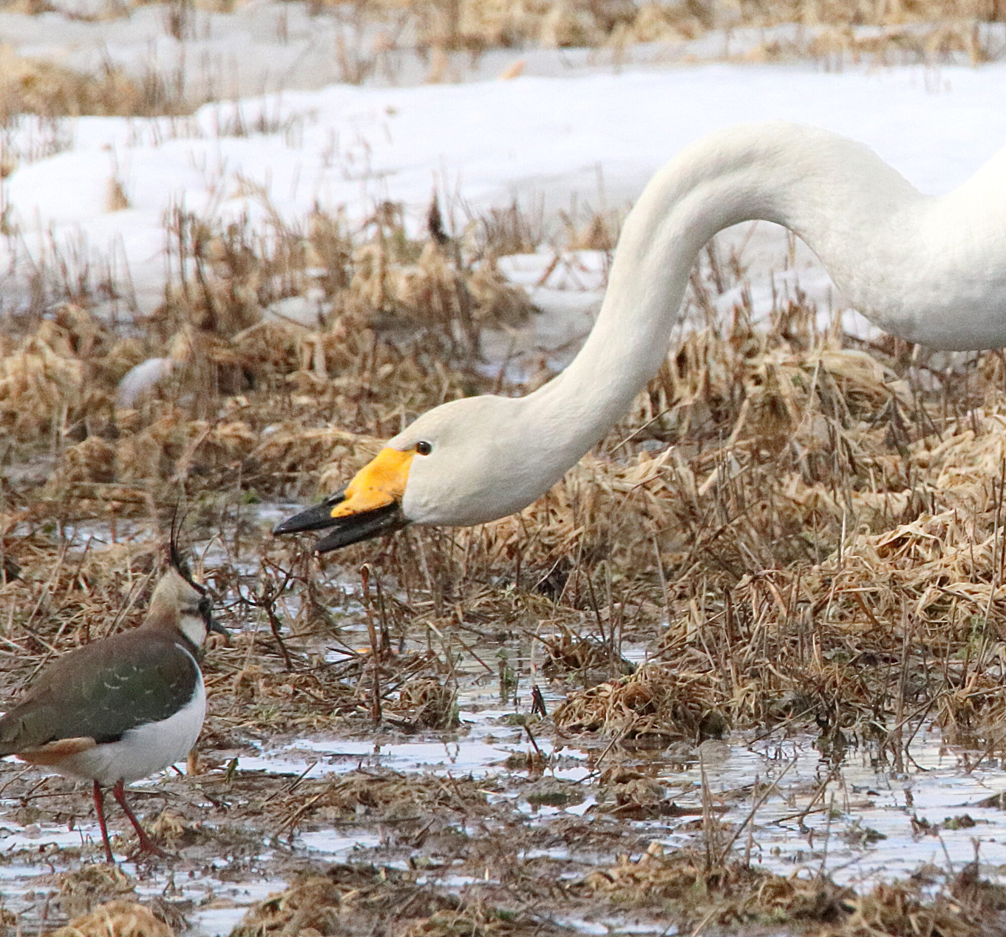 Valokuvaaja: Irja Lehtinen