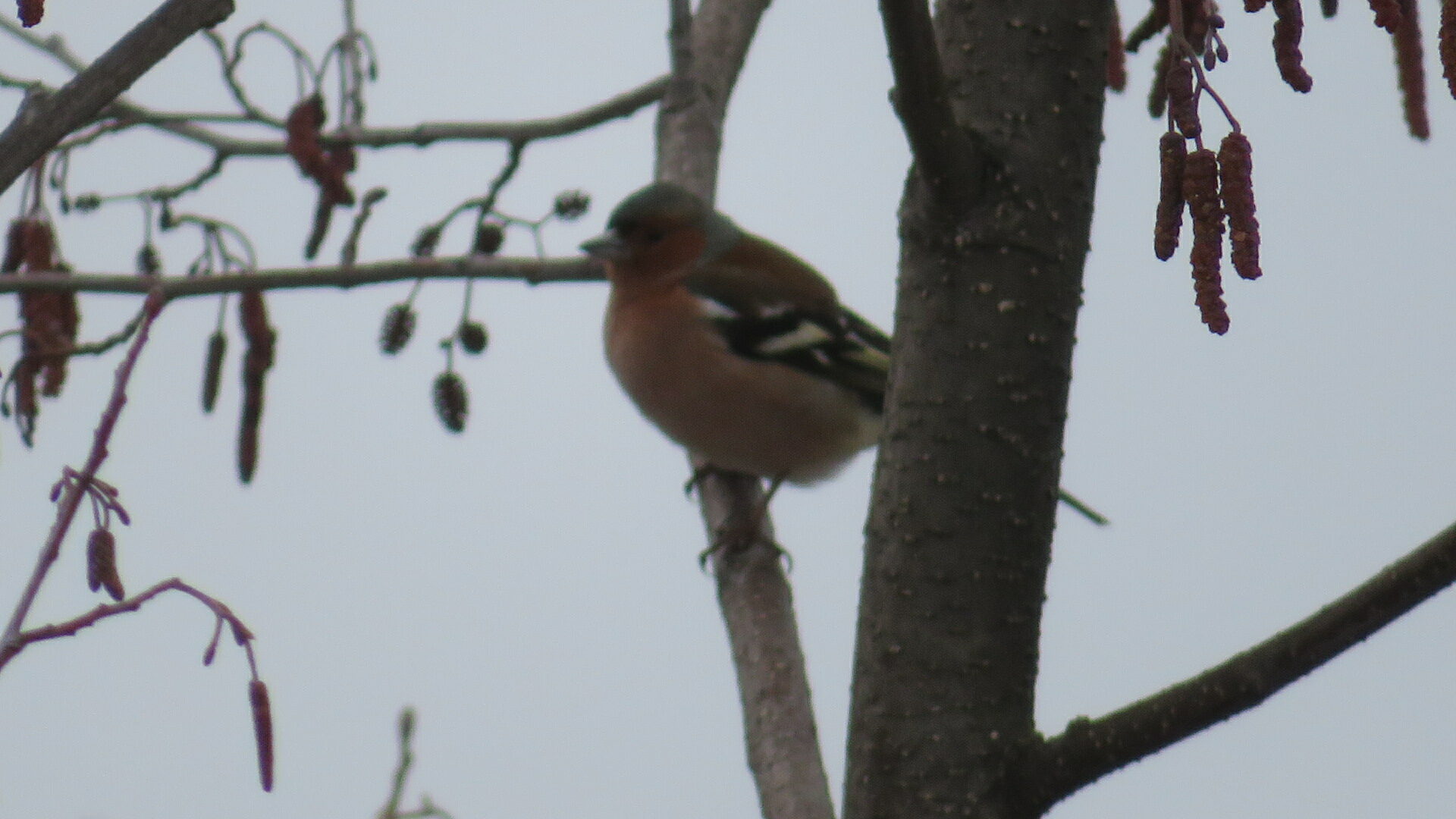 Valokuvaaja: Risto Kangassalo
